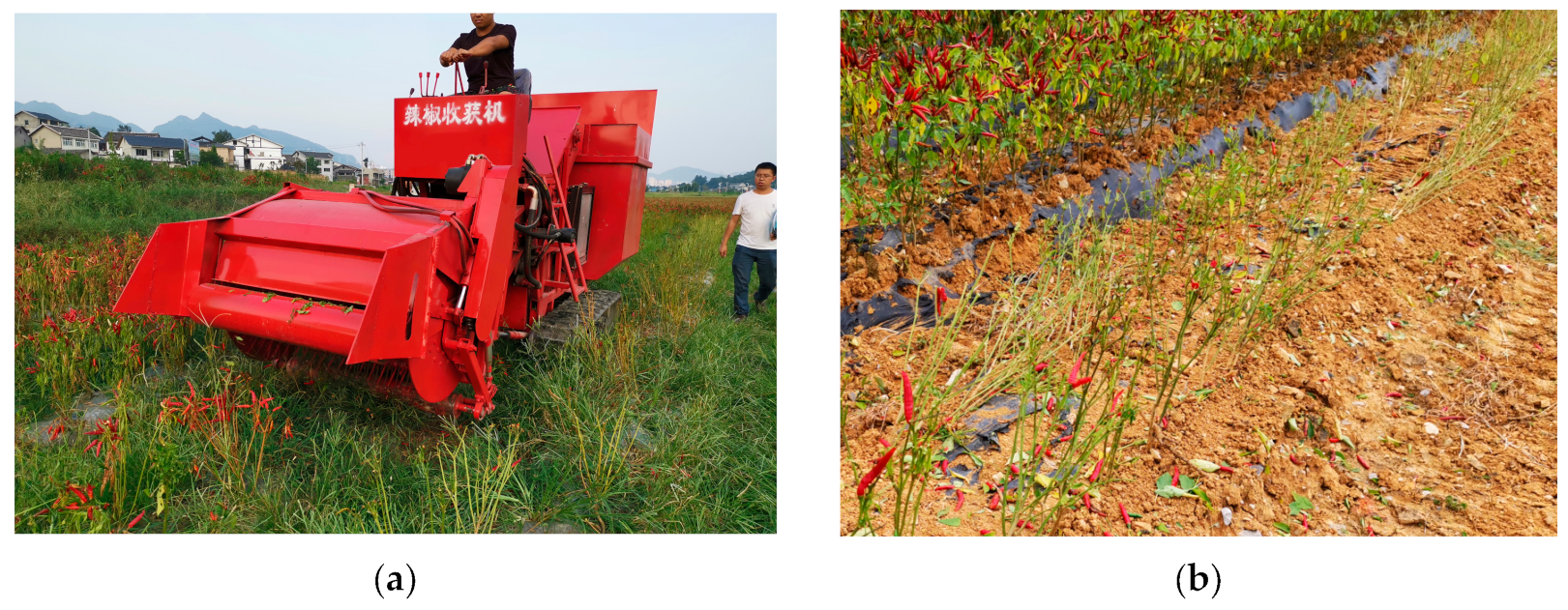 Agriculture 14 01742 g016