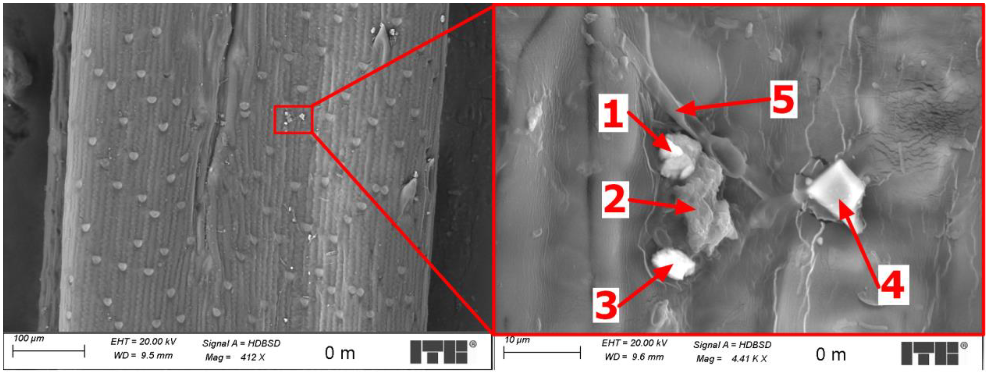 Agriculture 14 01750 g009