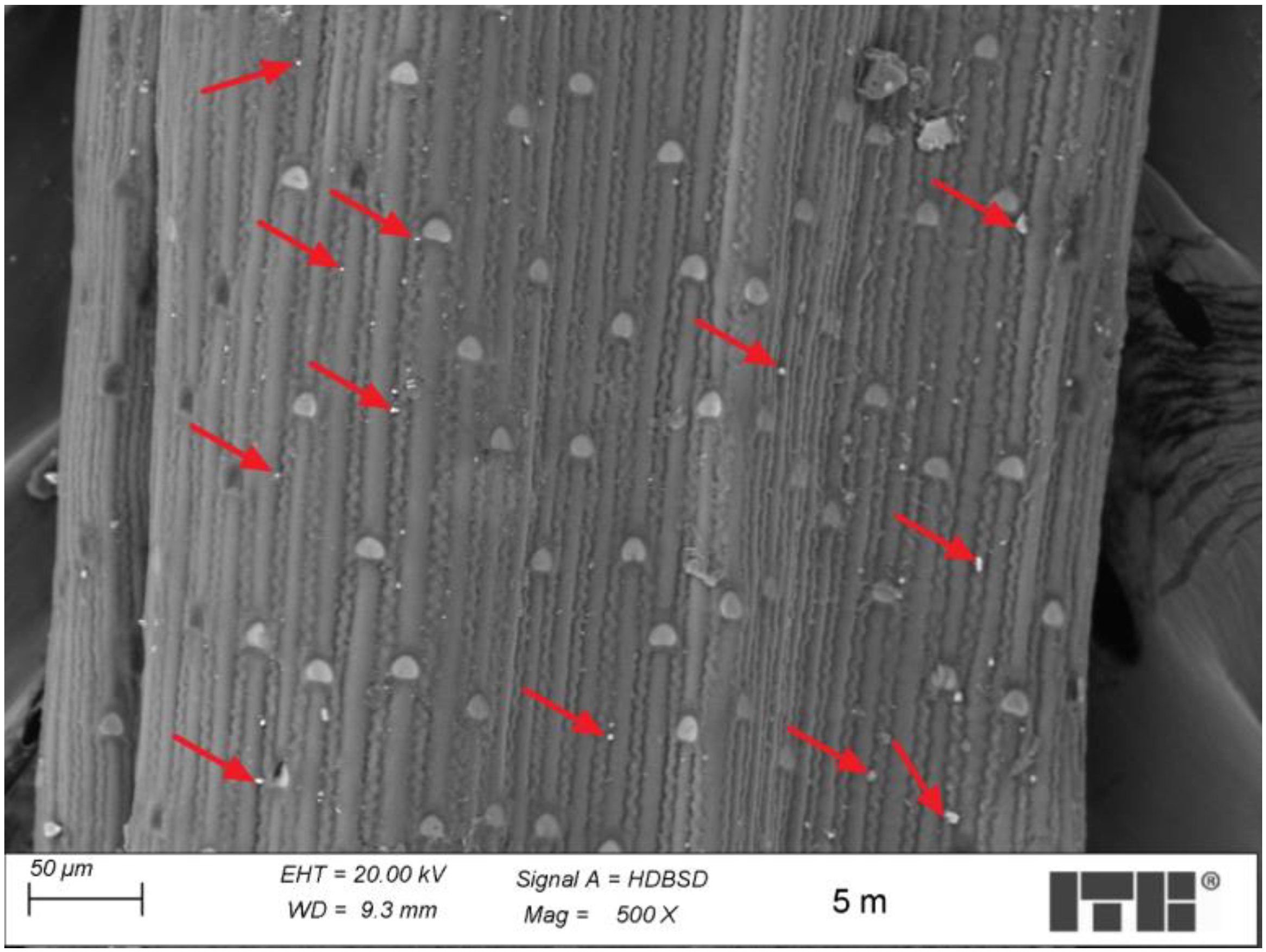 Agriculture 14 01750 g011