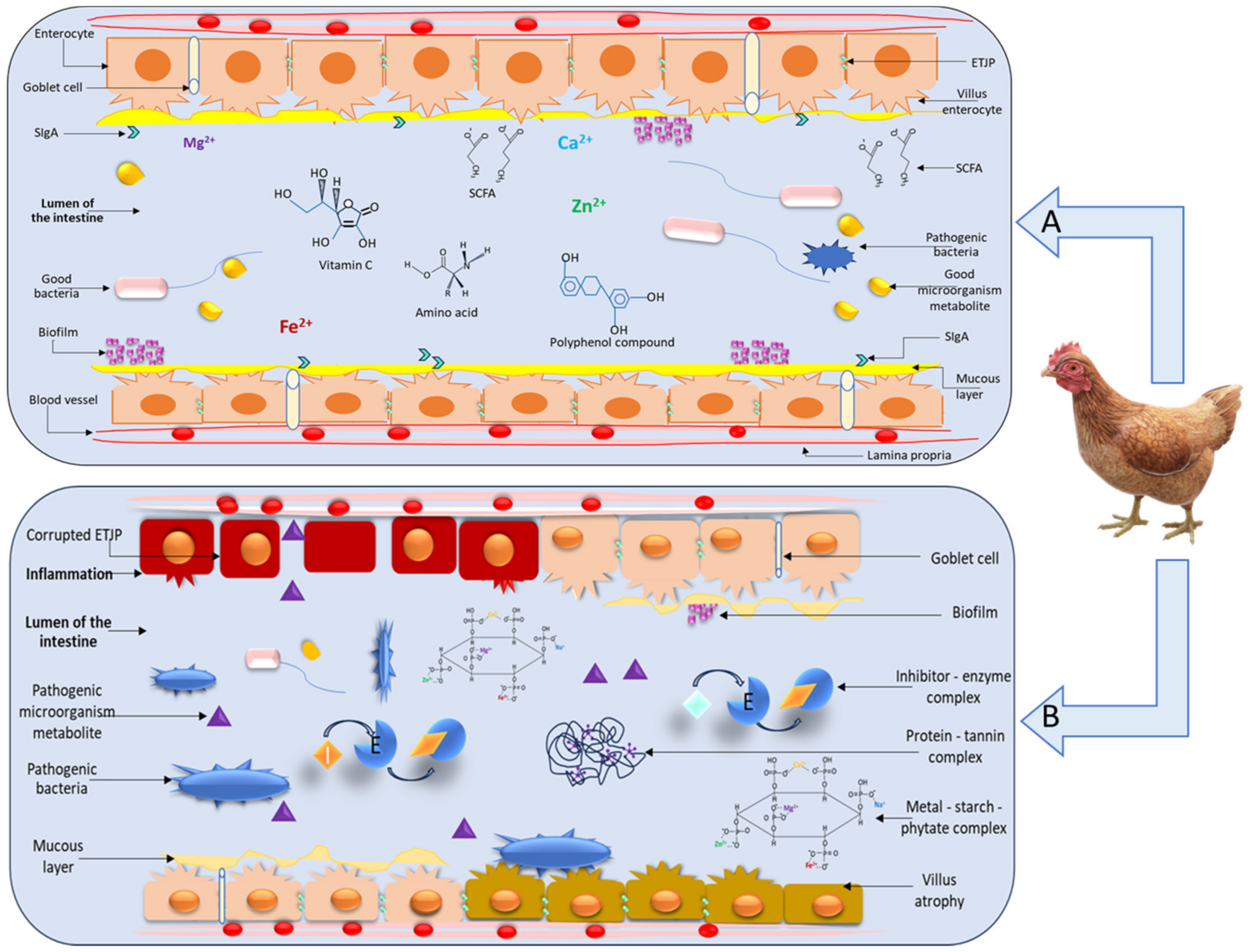 Agriculture 14 01752 g003