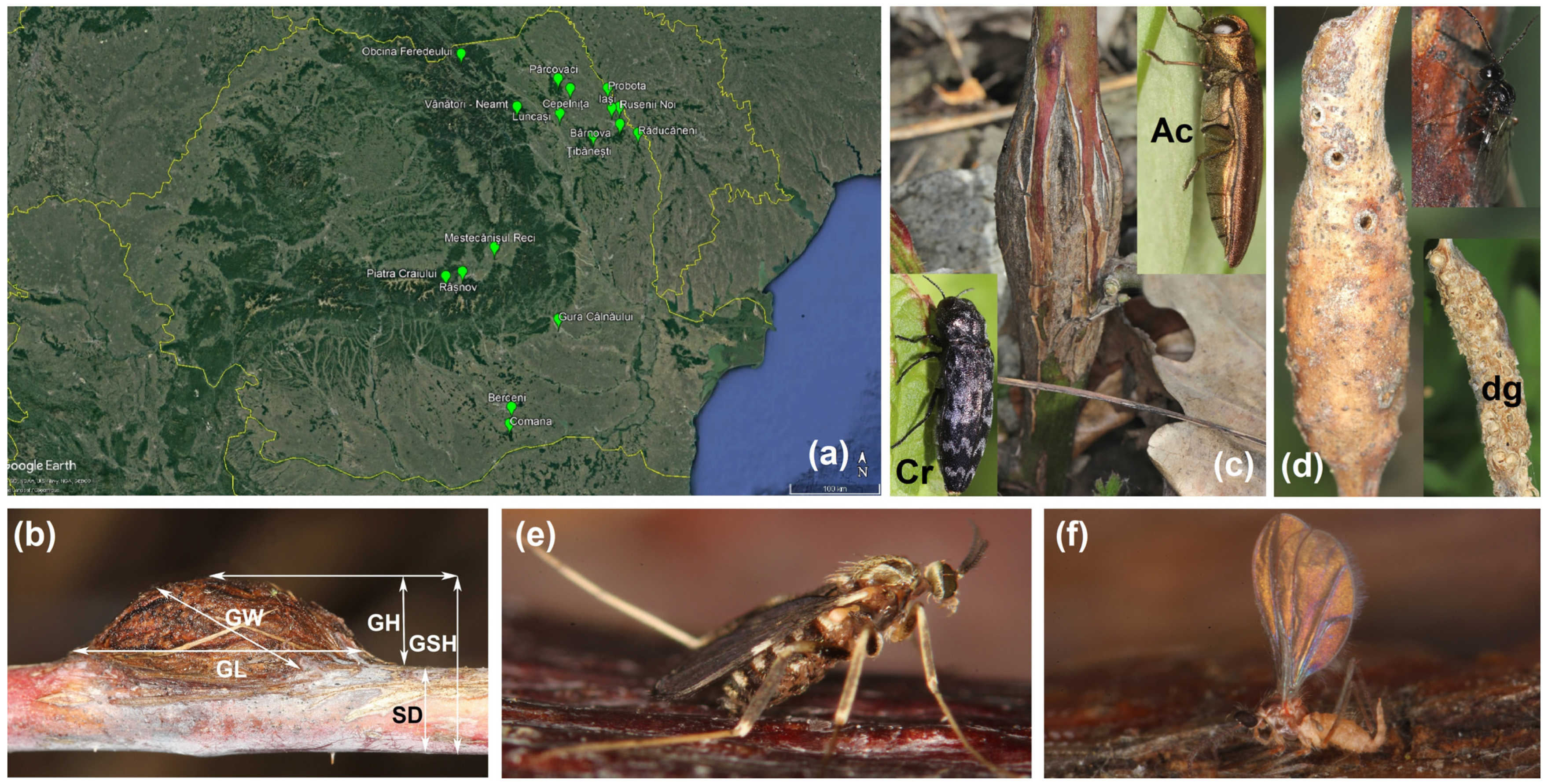 Agriculture 14 01761 g001