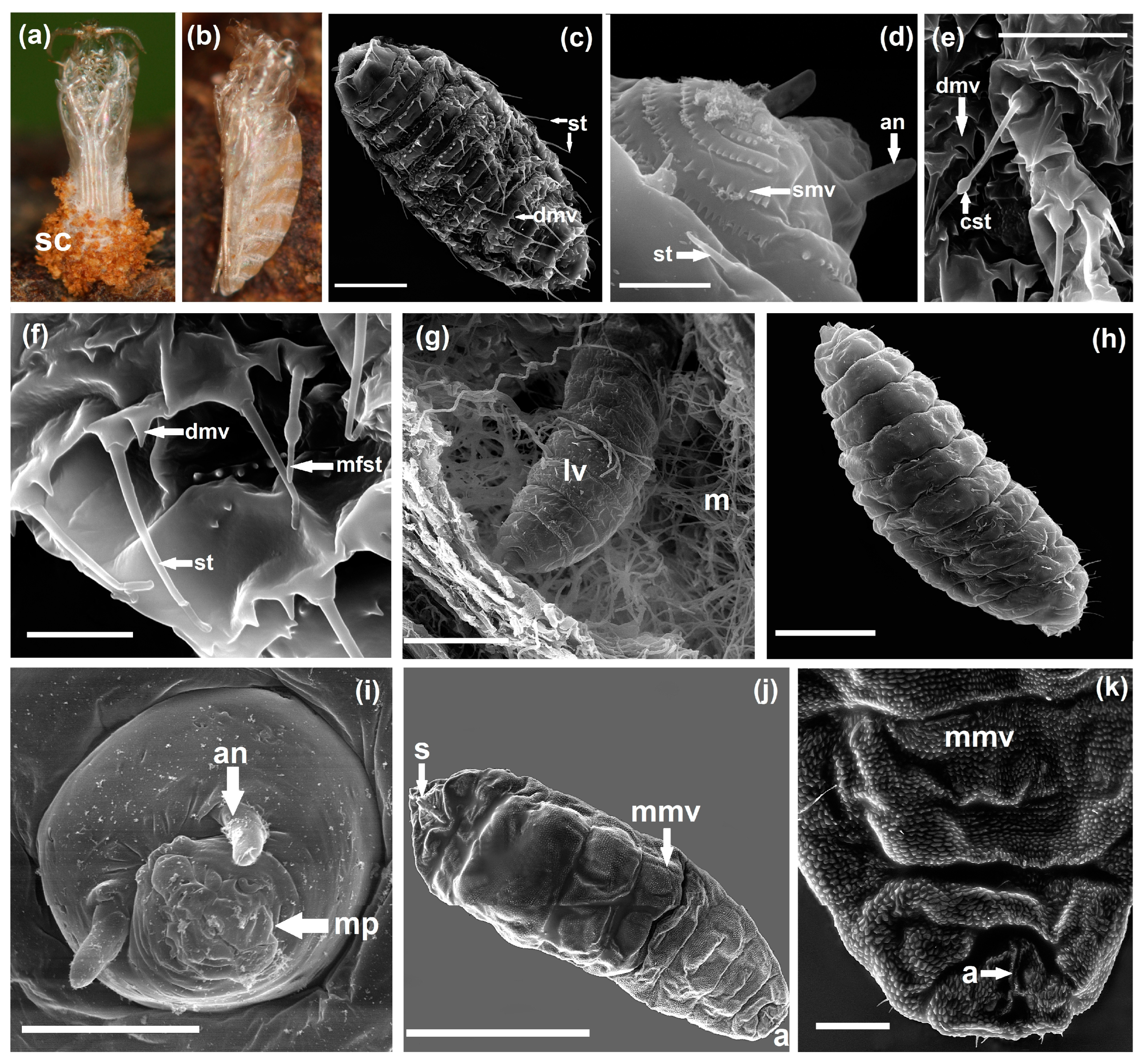 Agriculture 14 01761 g003
