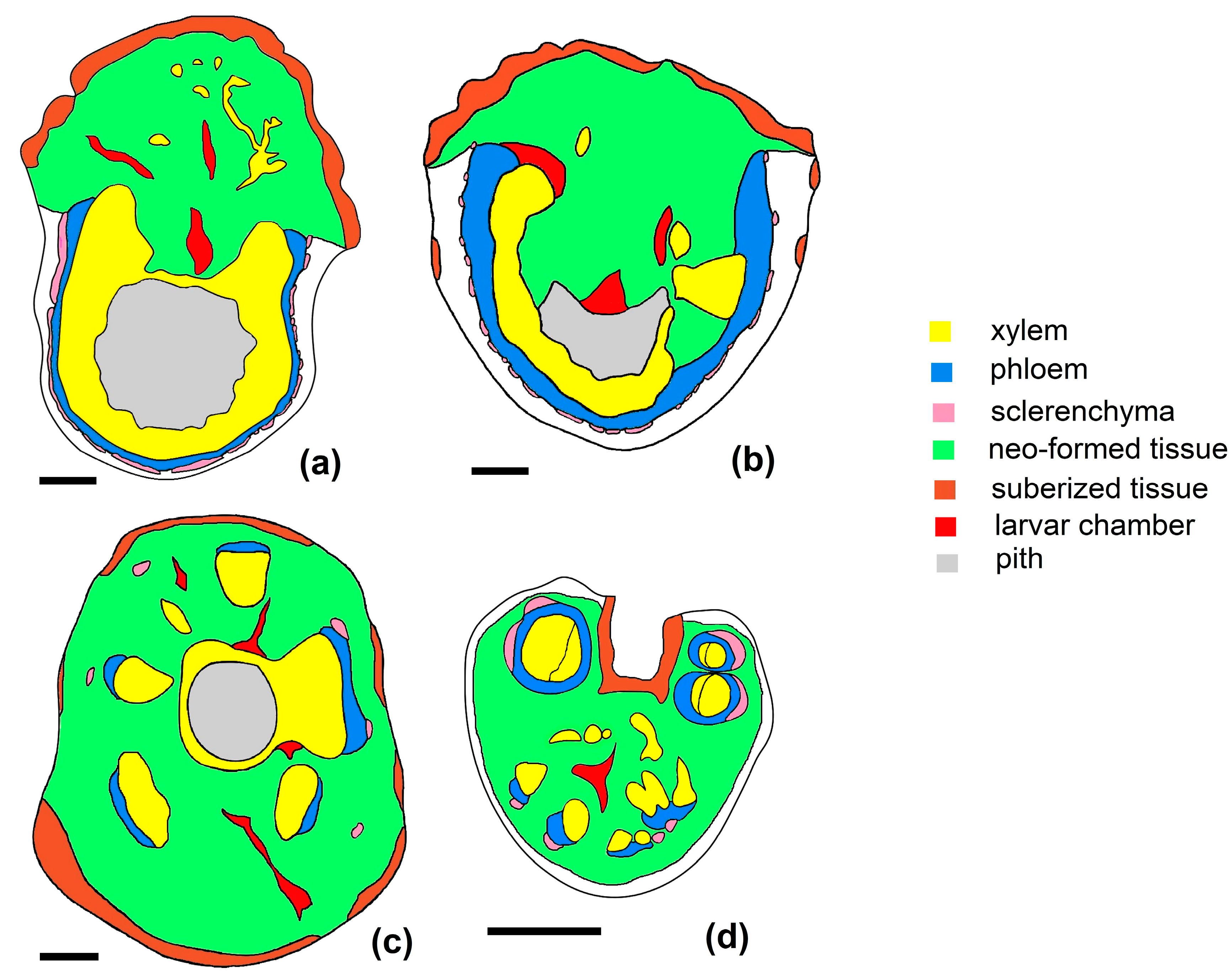 Agriculture 14 01761 g007
