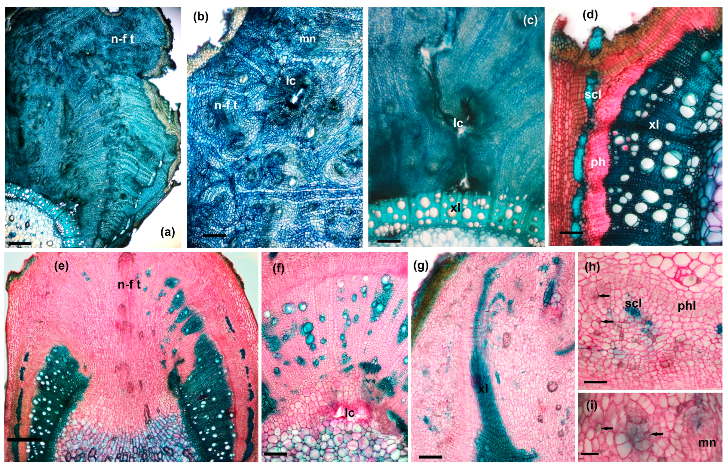 Agriculture 14 01761 g008