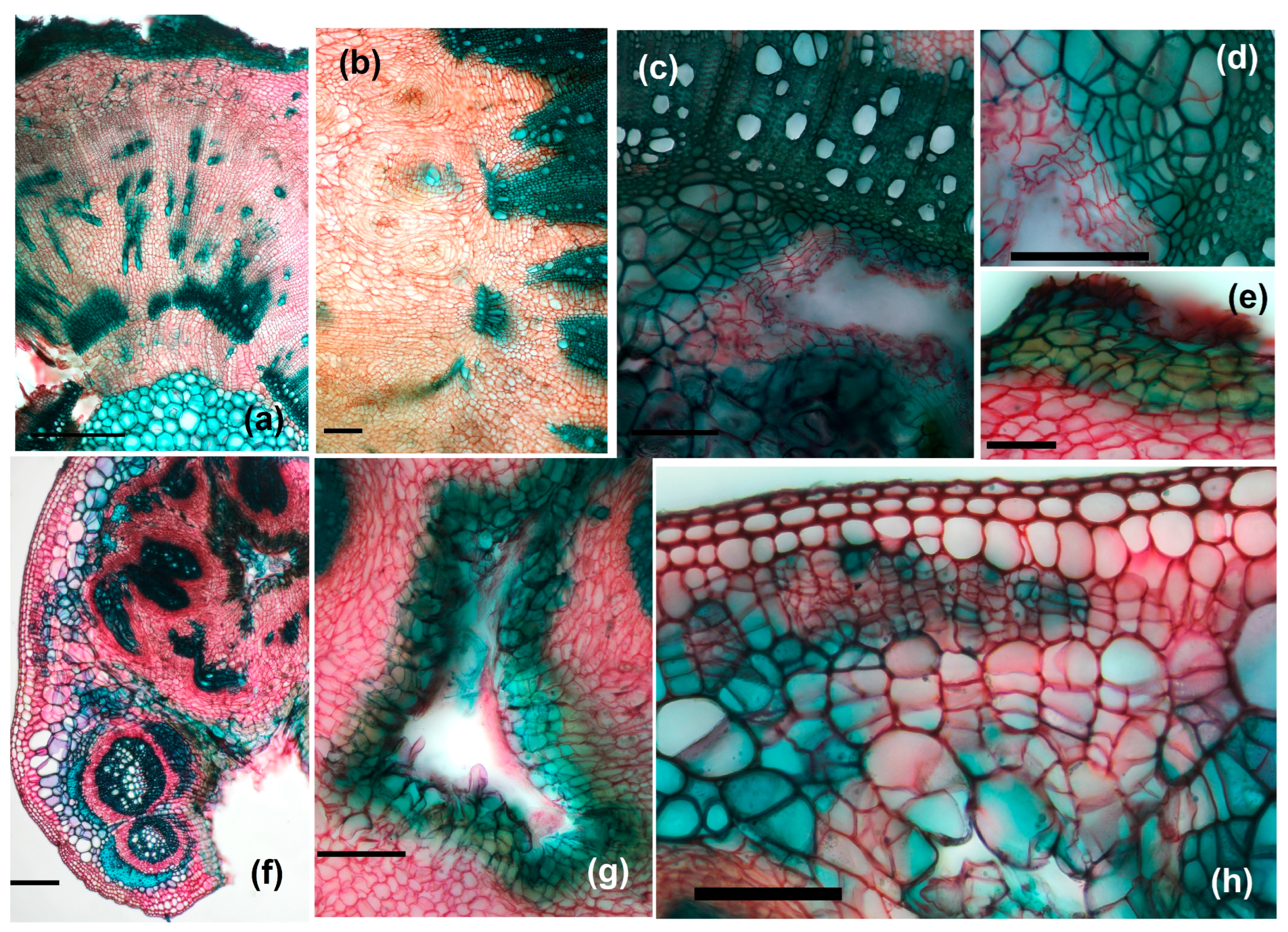 Agriculture 14 01761 g010