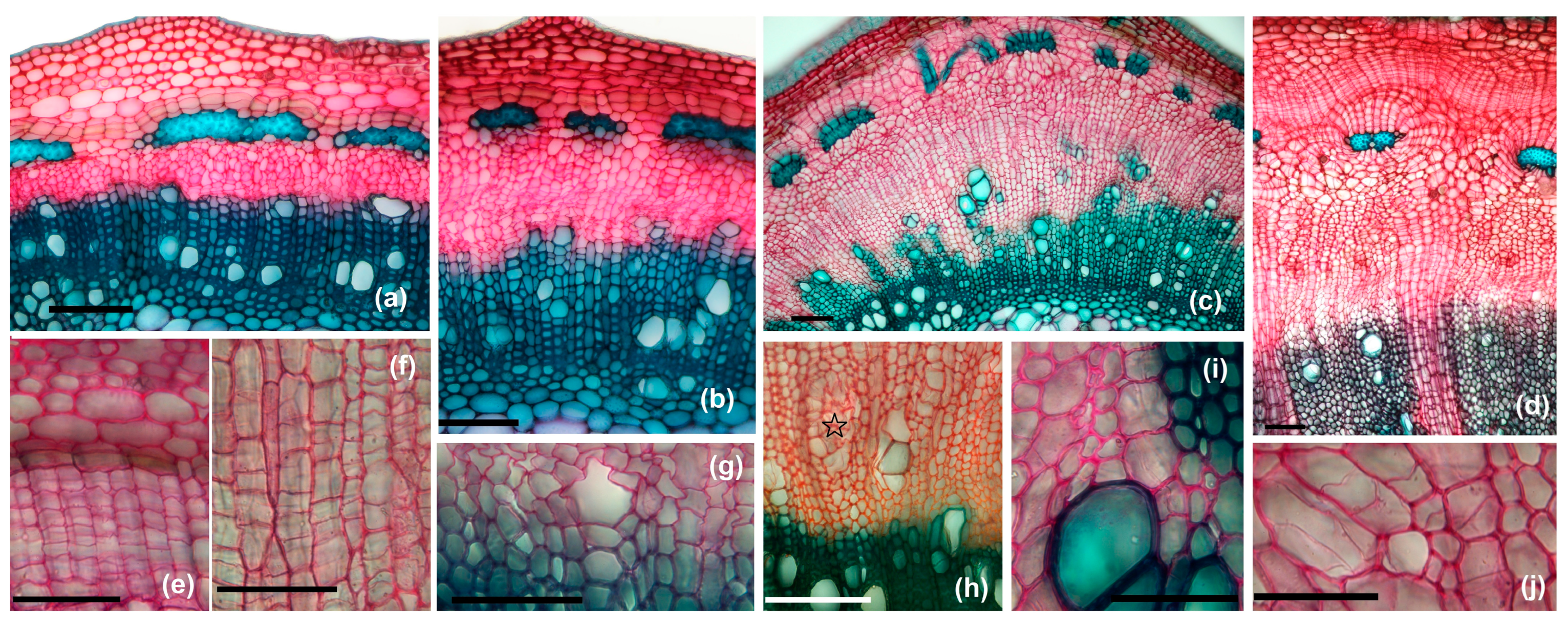 Agriculture 14 01761 g011