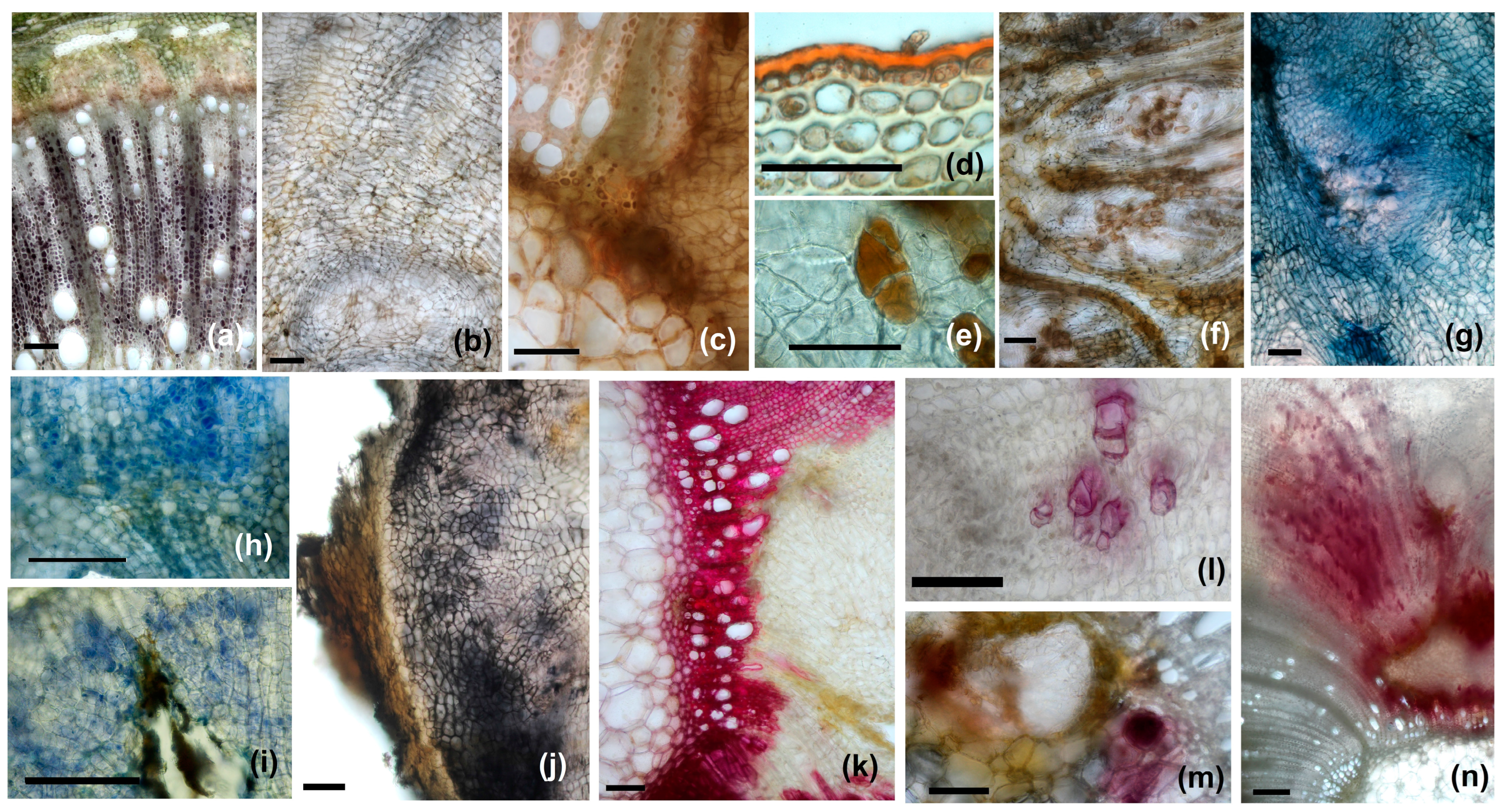 Agriculture 14 01761 g013