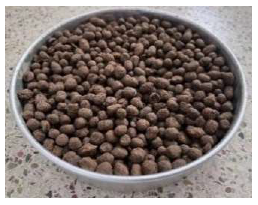 Agriculture 14 01762 g002