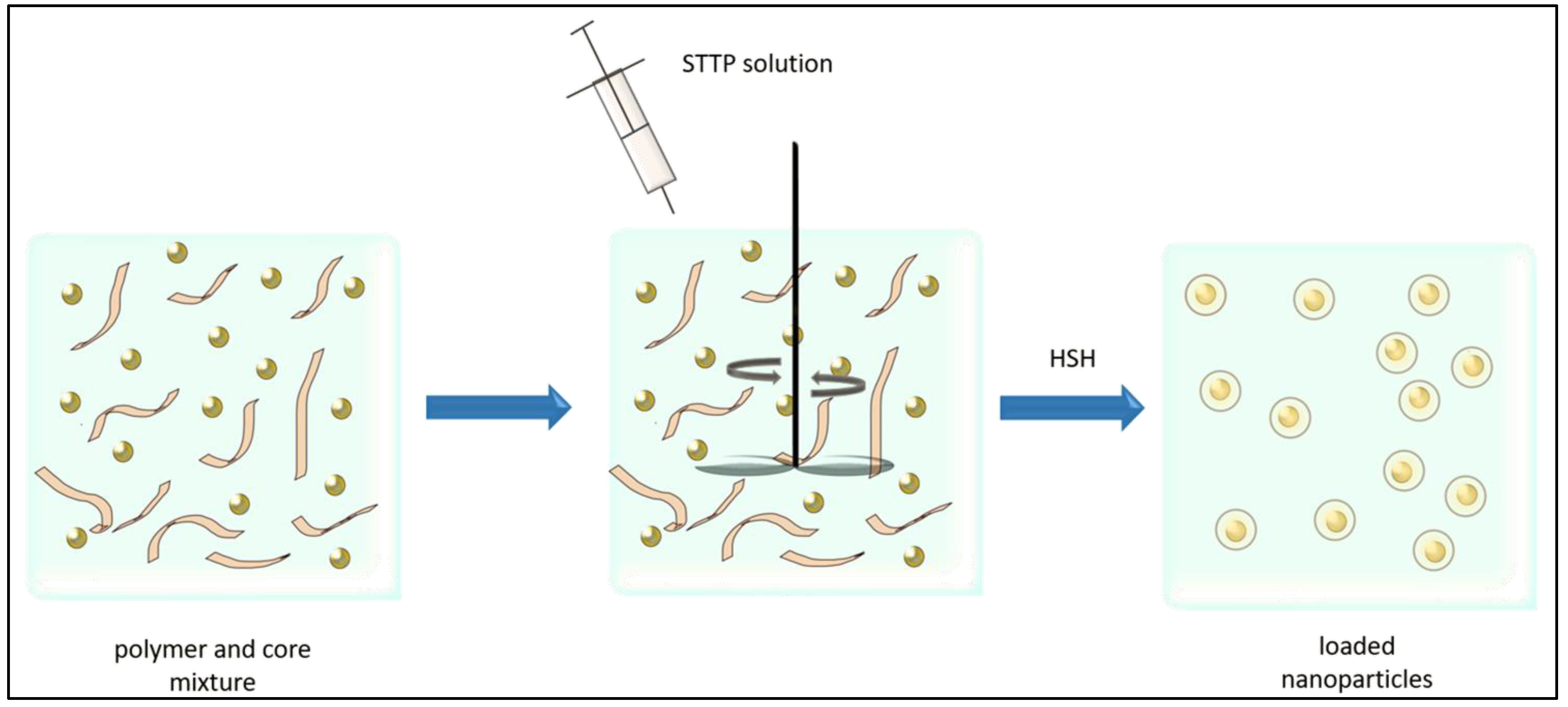 Agriculture 14 01766 g003