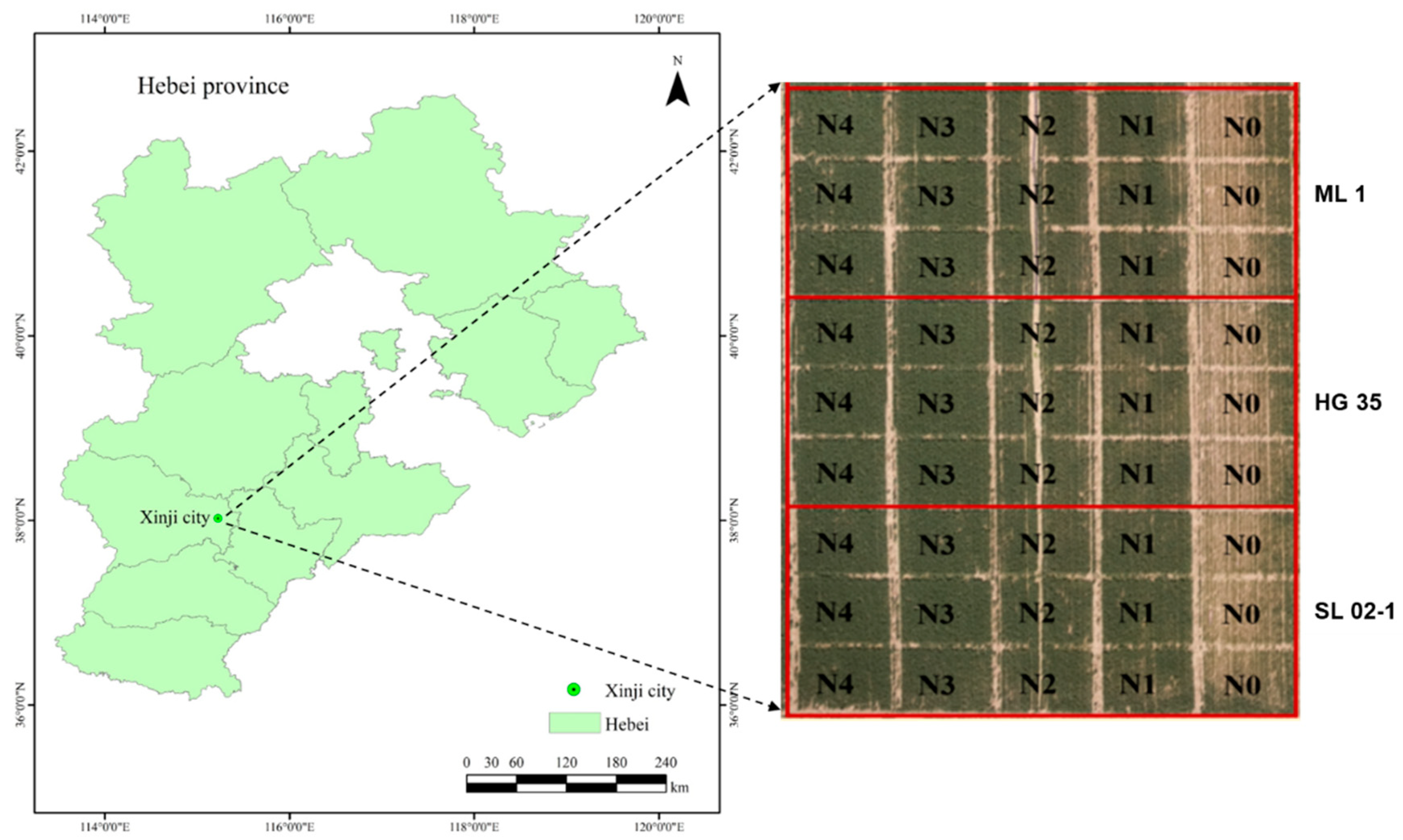 Agriculture 14 01775 g001