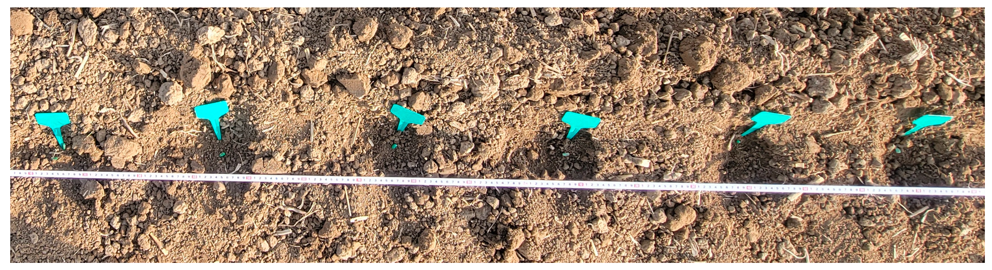 Agriculture 14 01778 g011