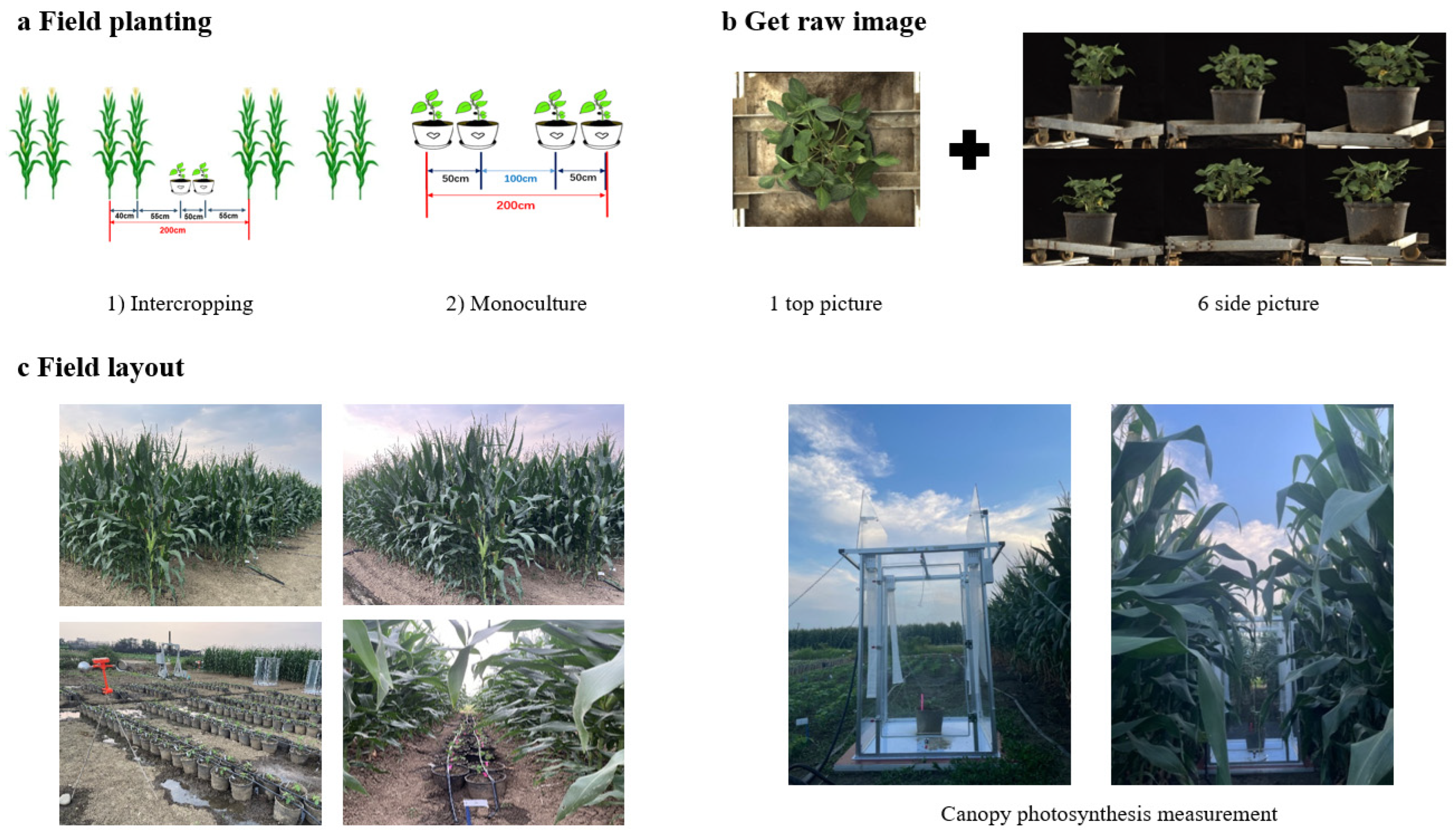 Agriculture 14 01783 g001