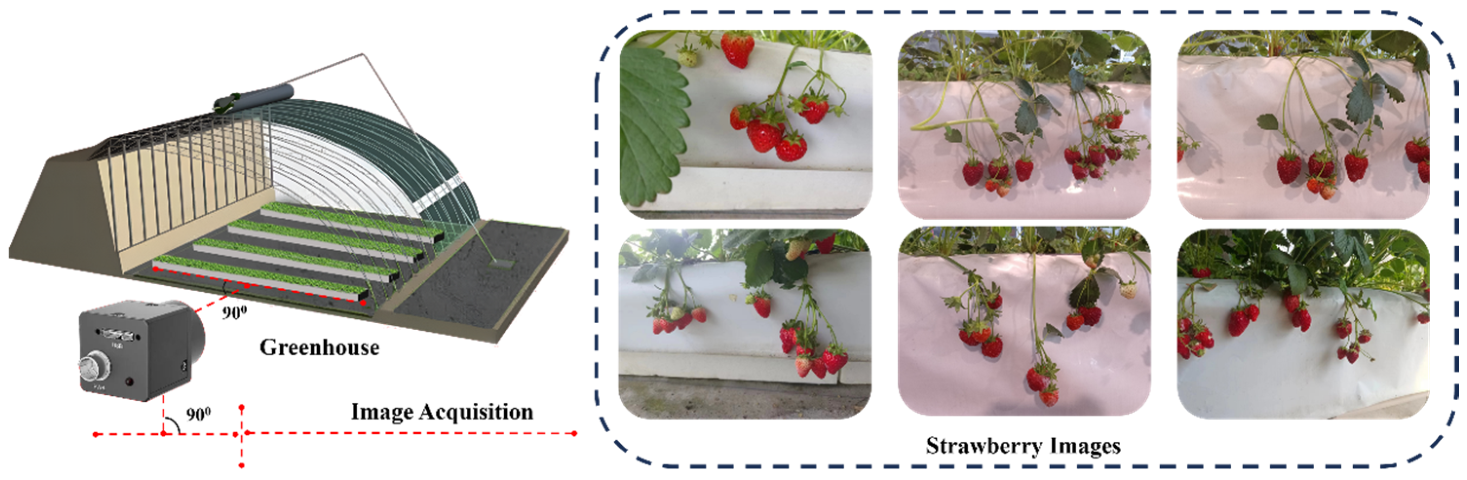 Agriculture 14 01848 g001