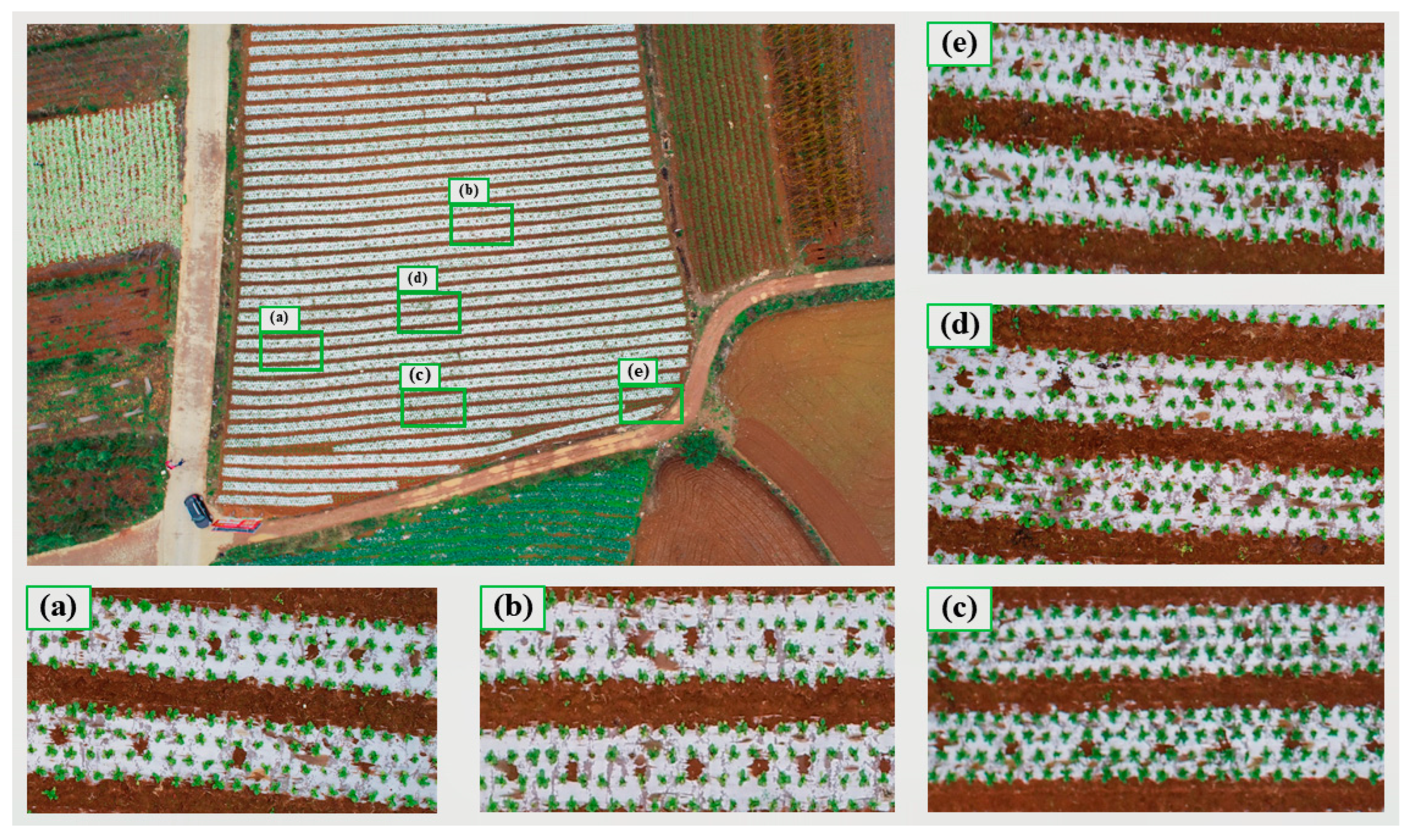Agriculture 14 01871 g001