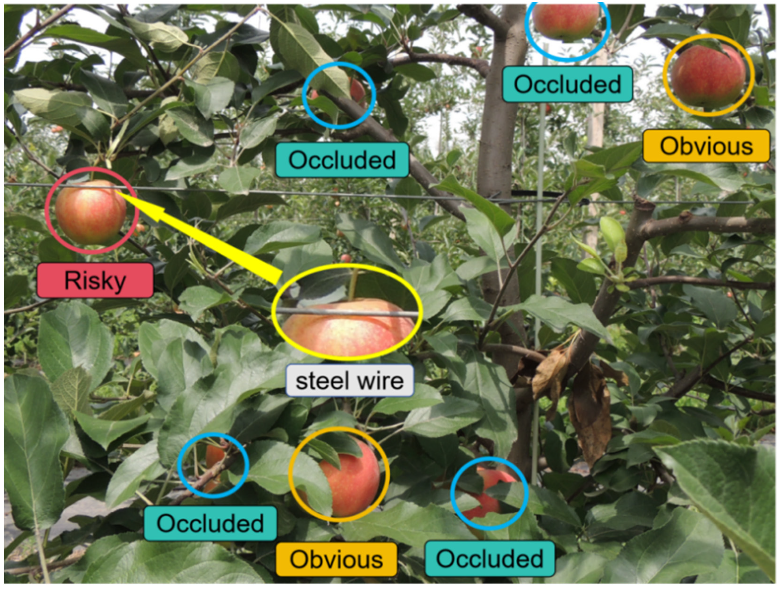 Agriculture 14 01958 g004