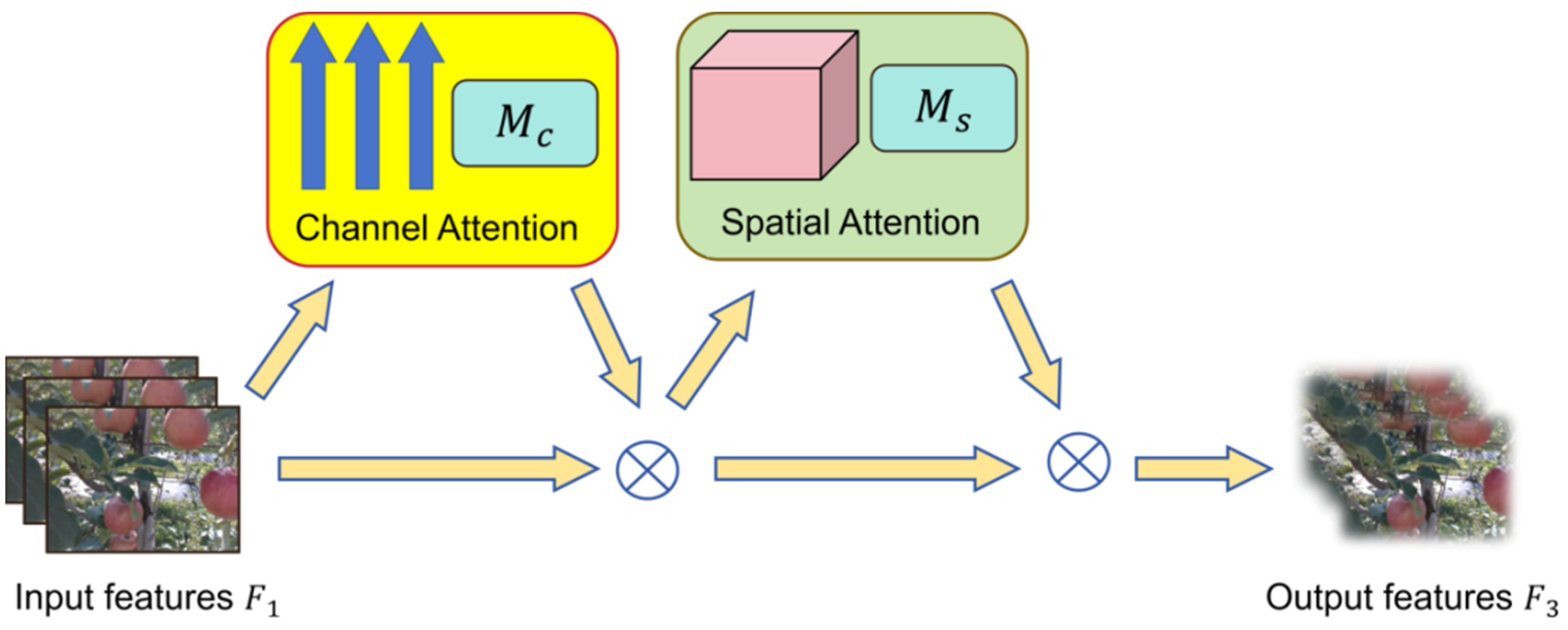 Agriculture 14 01958 g008