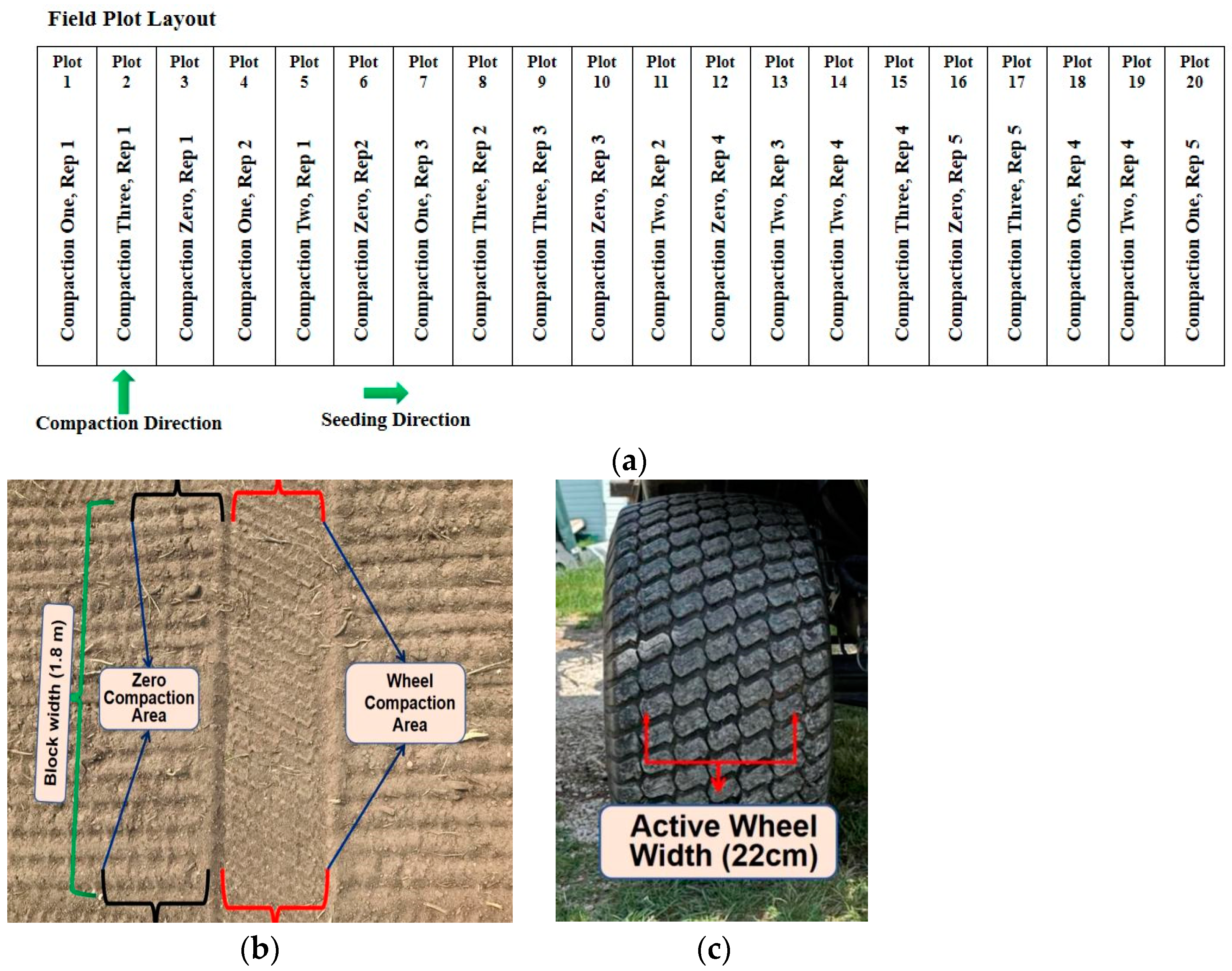 Agriculture 14 01976 g002