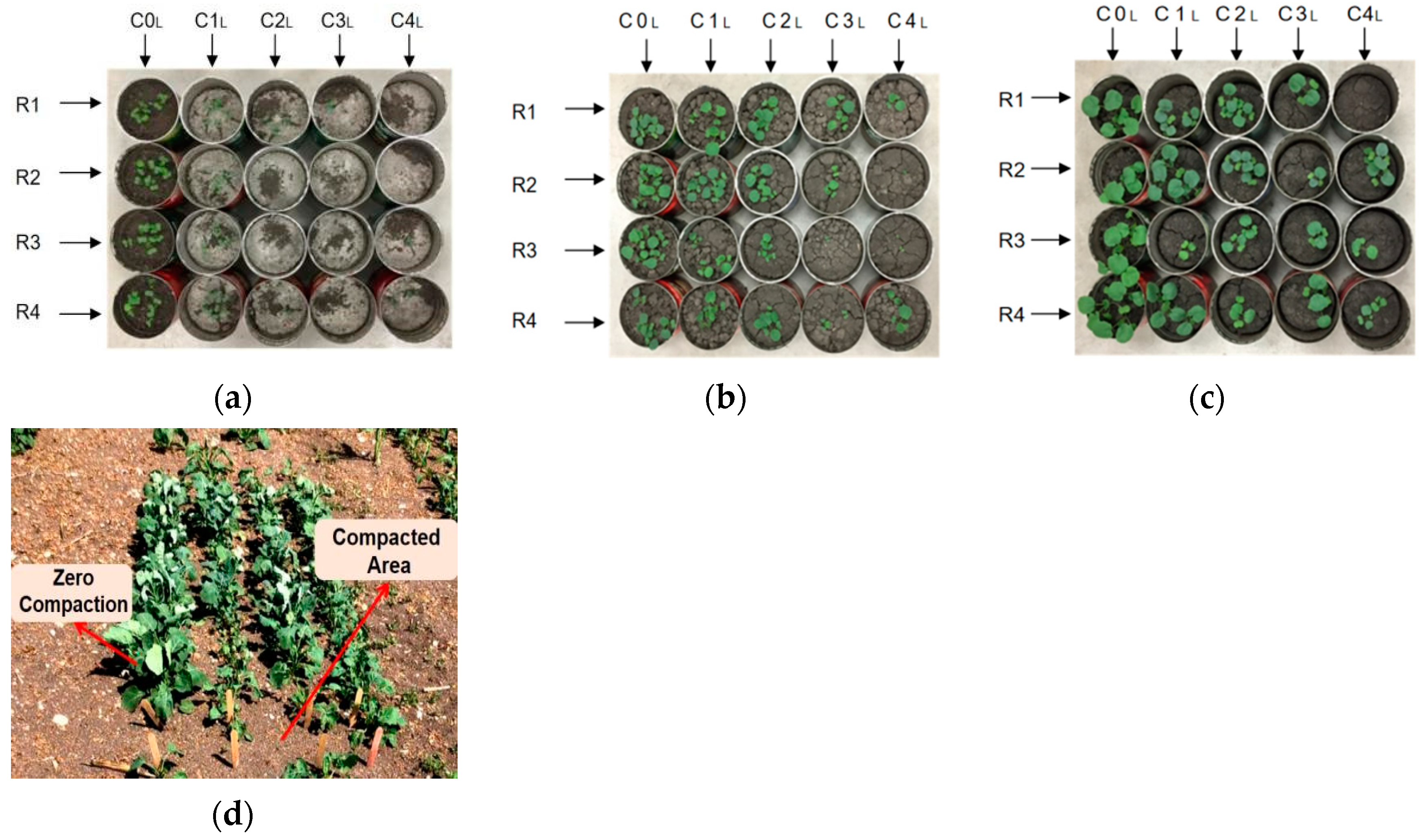 Agriculture 14 01976 g005
