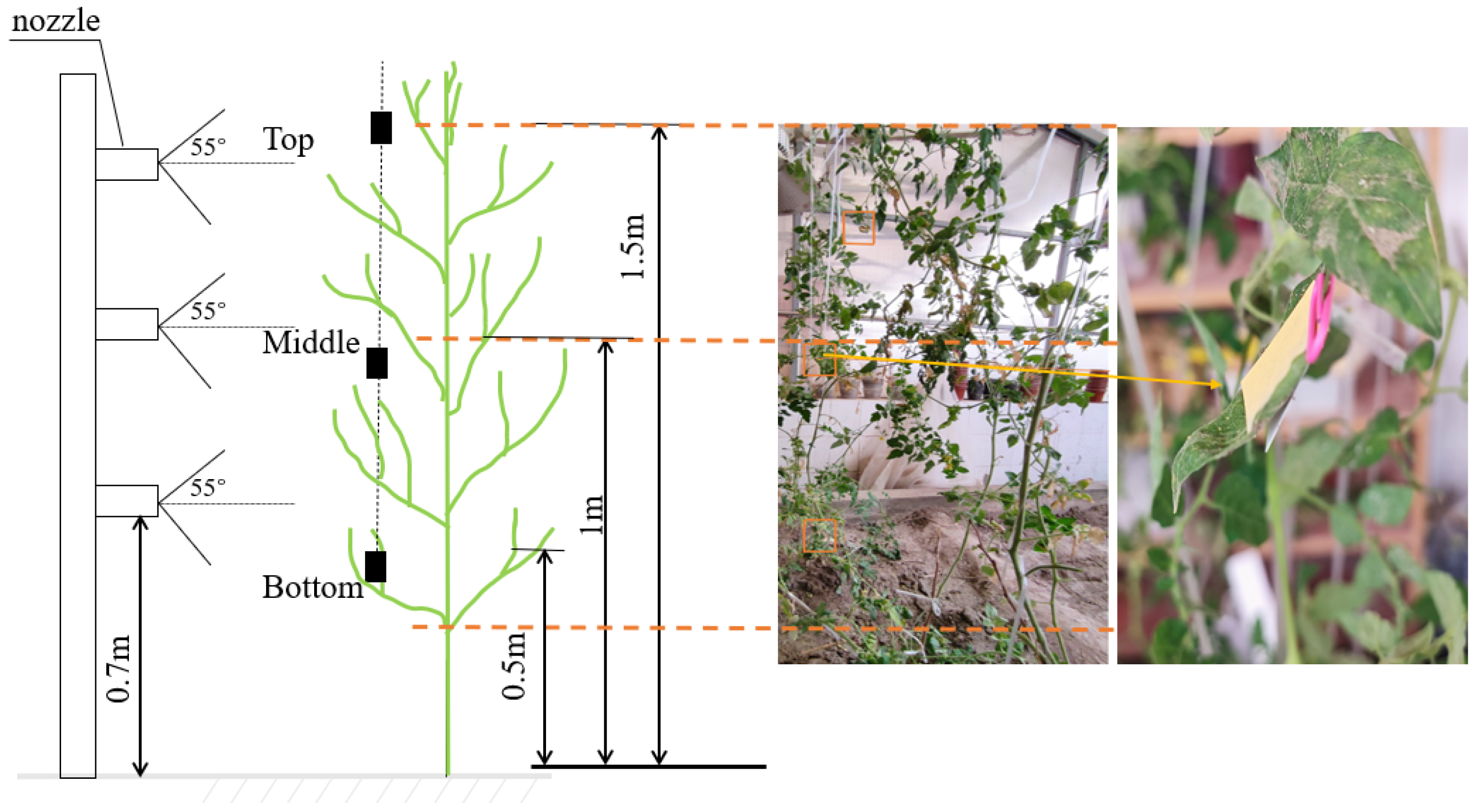 Agriculture 14 01981 g005