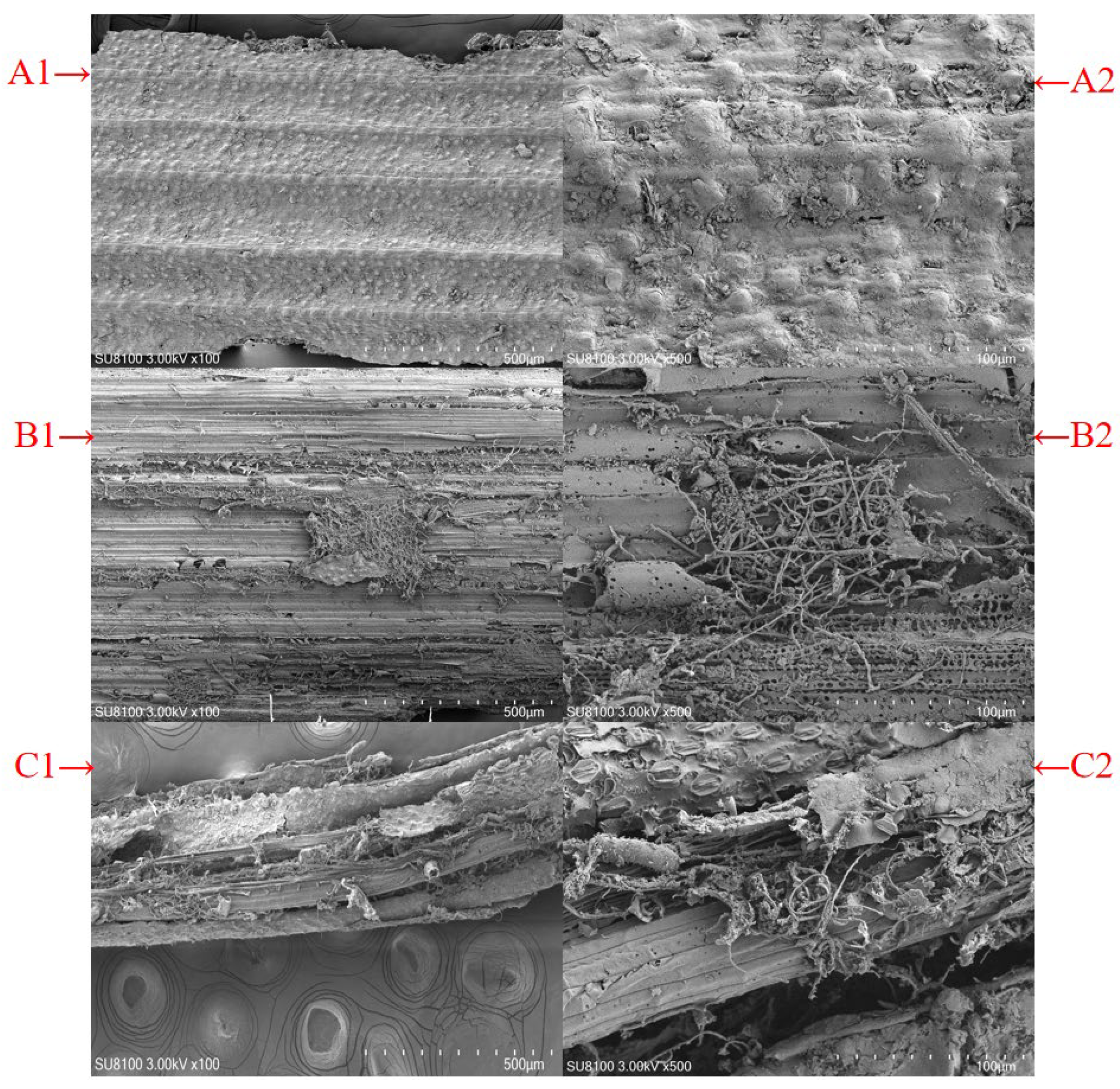 Agriculture 14 02027 g003