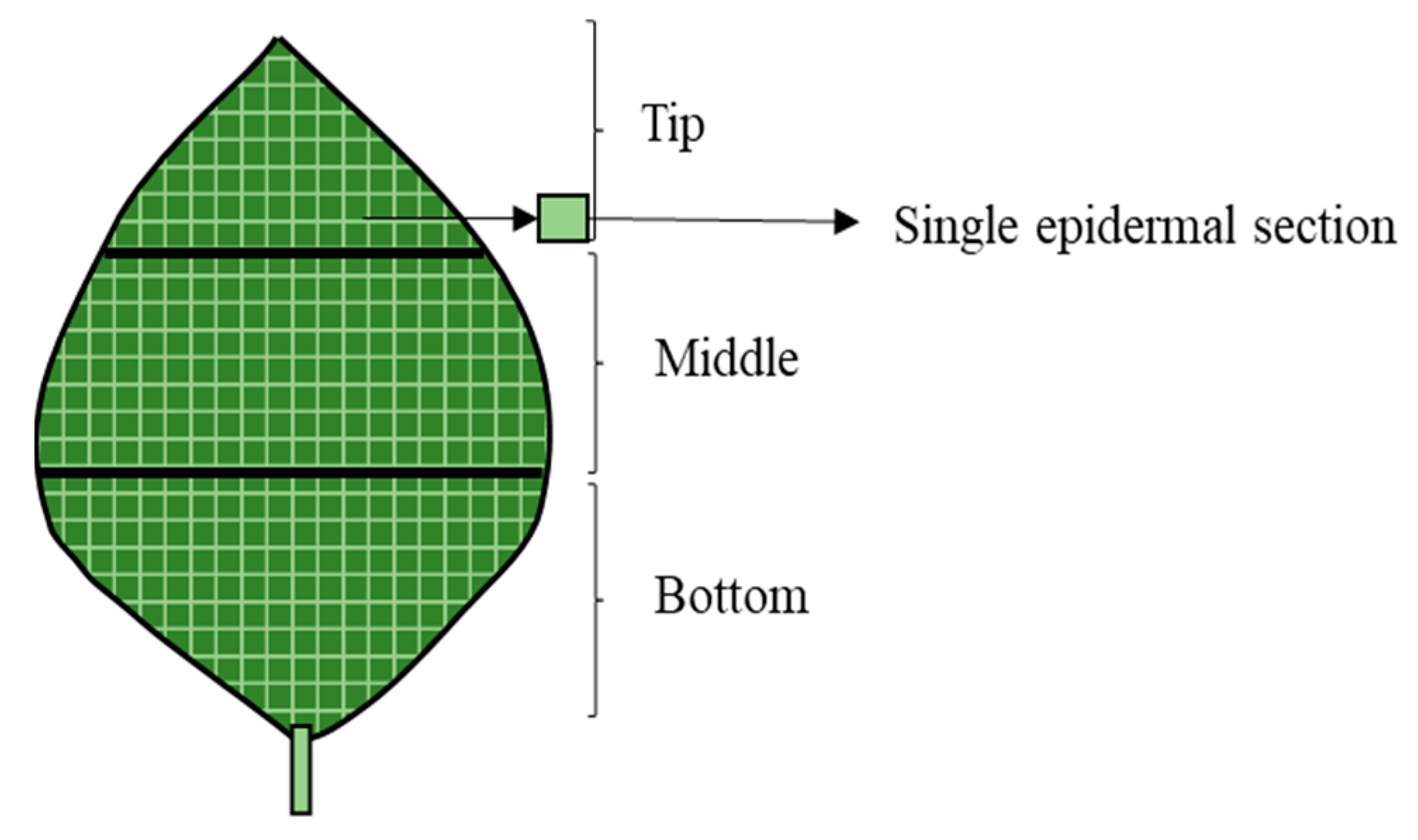 Agriculture 14 02028 g001
