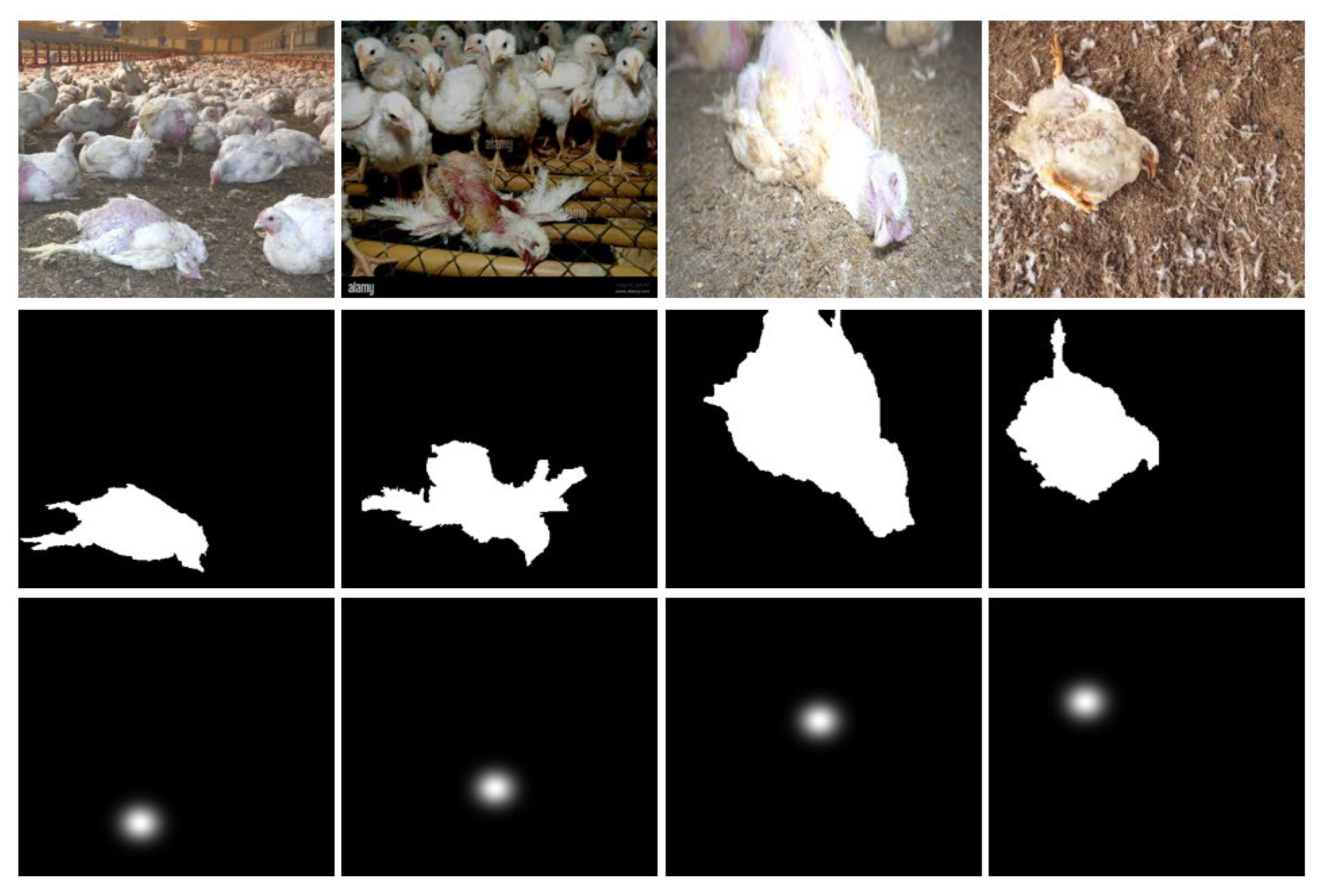 Agriculture 14 02082 g001