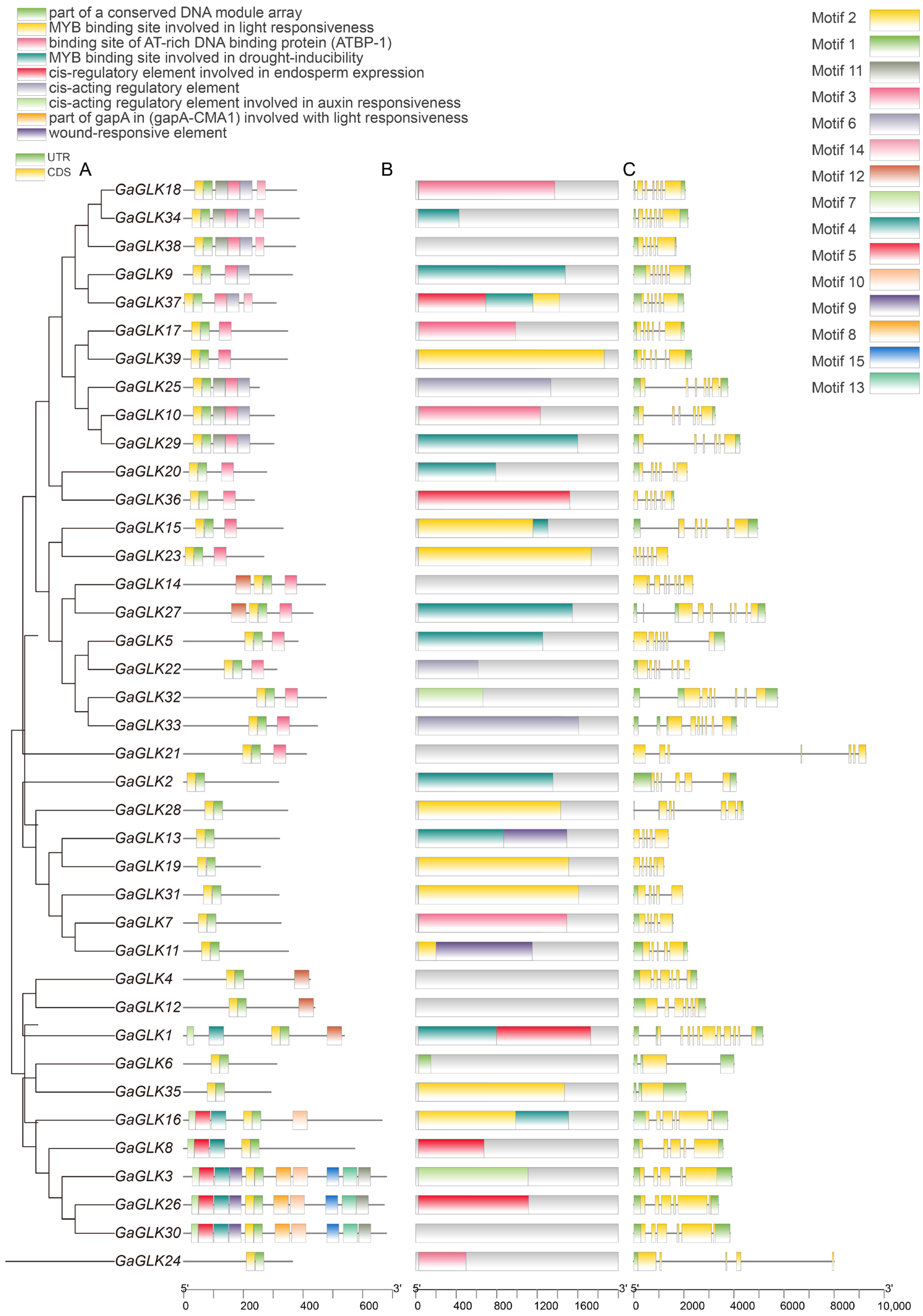 Agriculture 14 02086 g004
