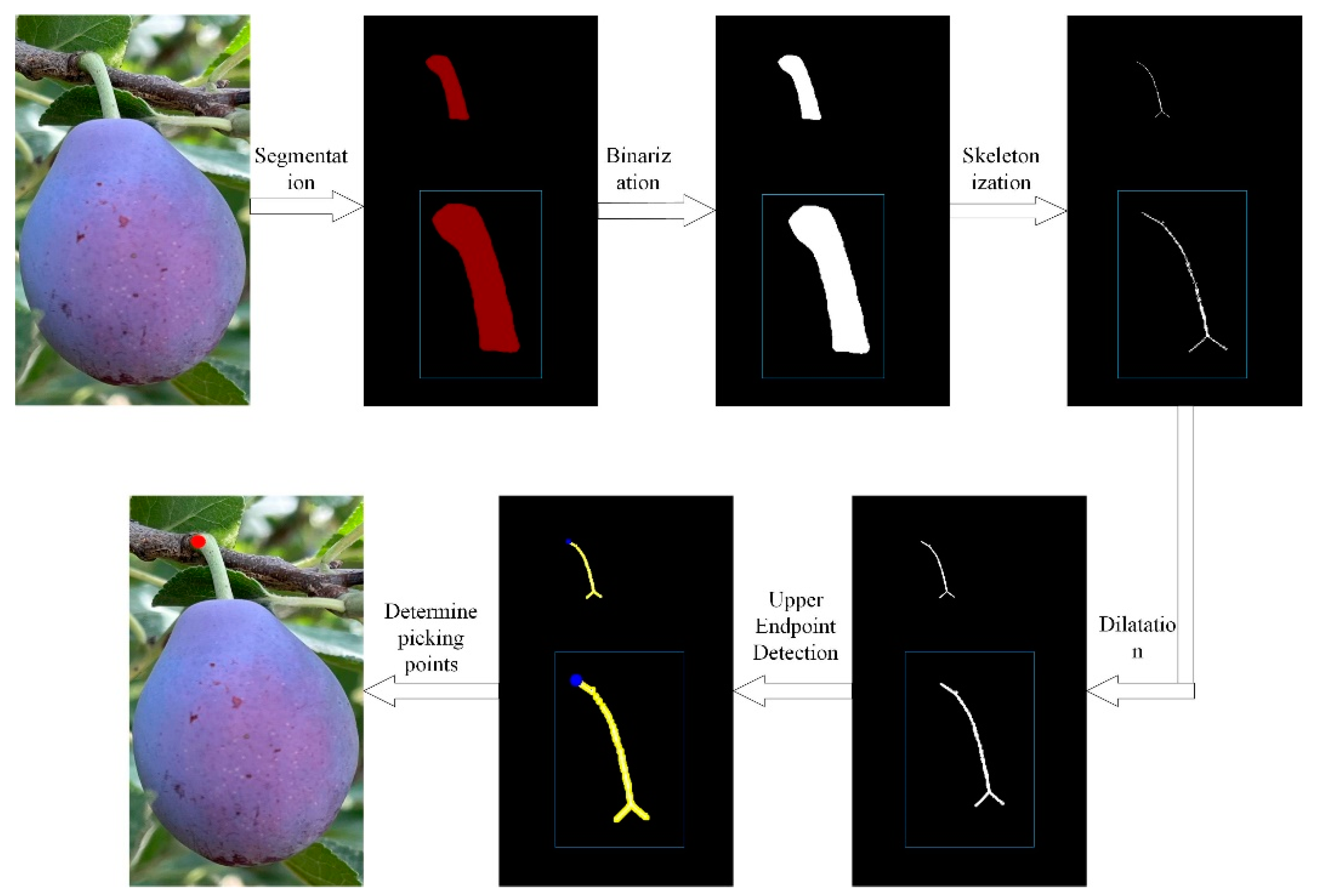 Agriculture 14 02120 g007