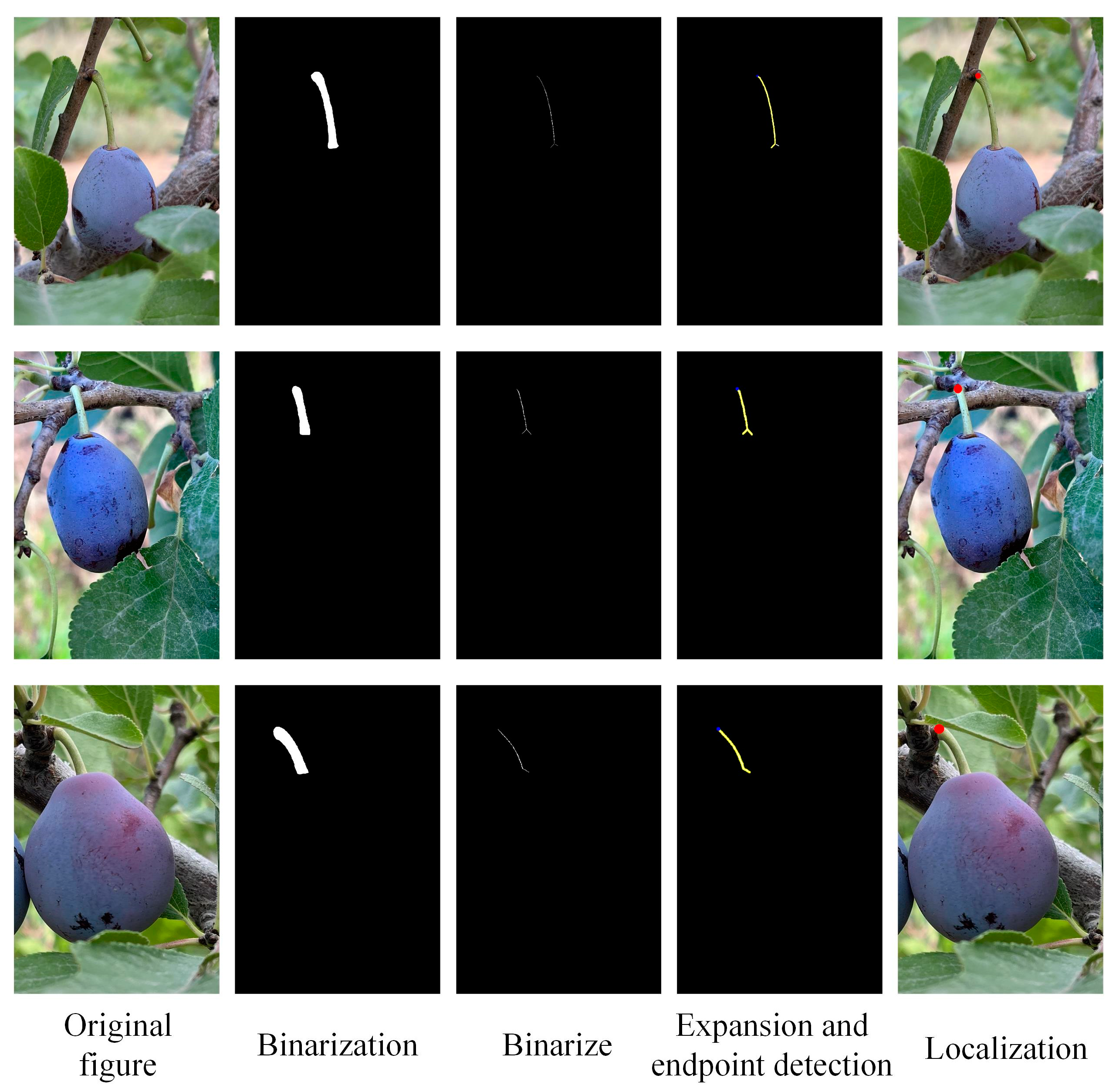 Agriculture 14 02120 g010