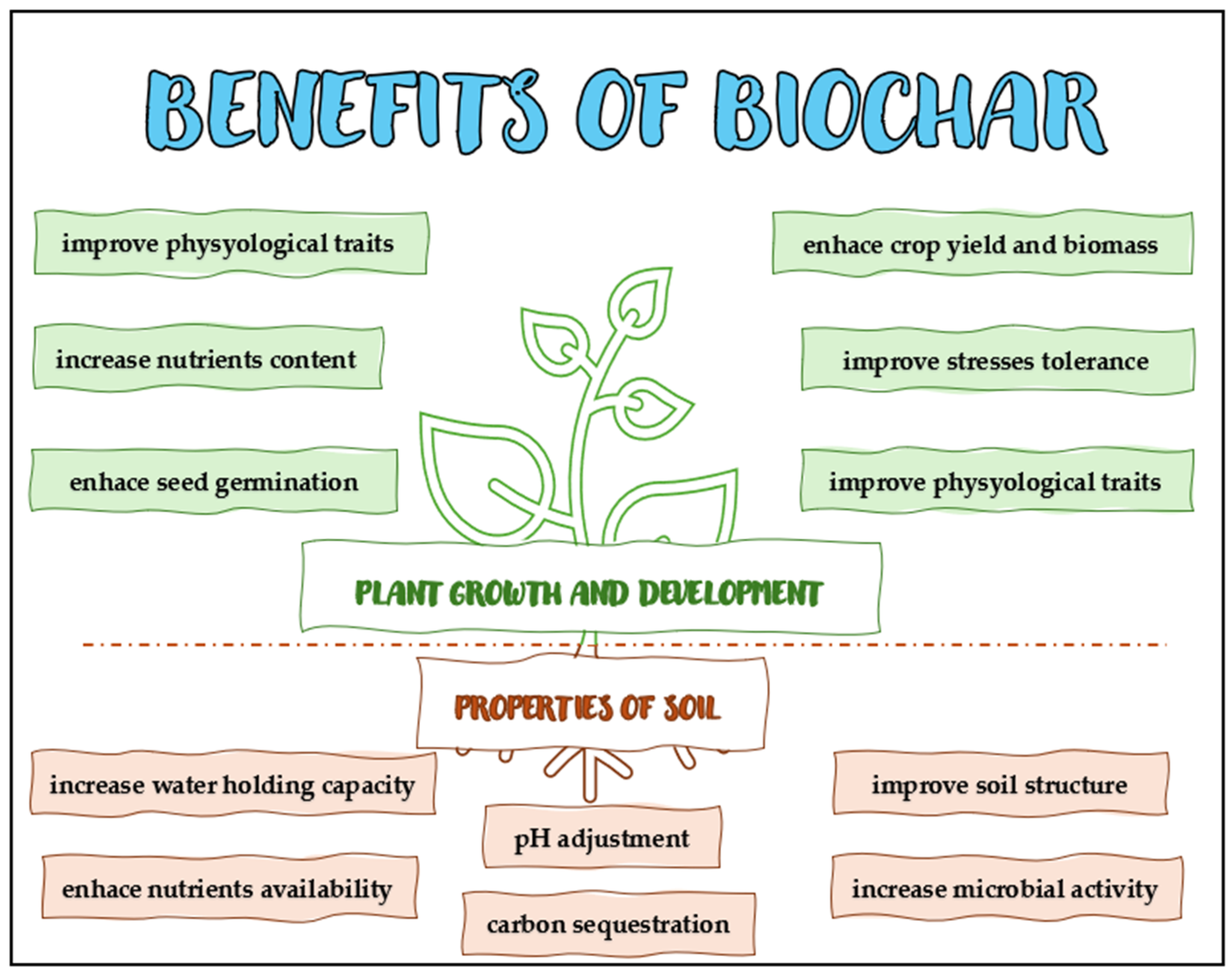 Agriculture 14 02165 g001 Agriculture 14 02165 g001