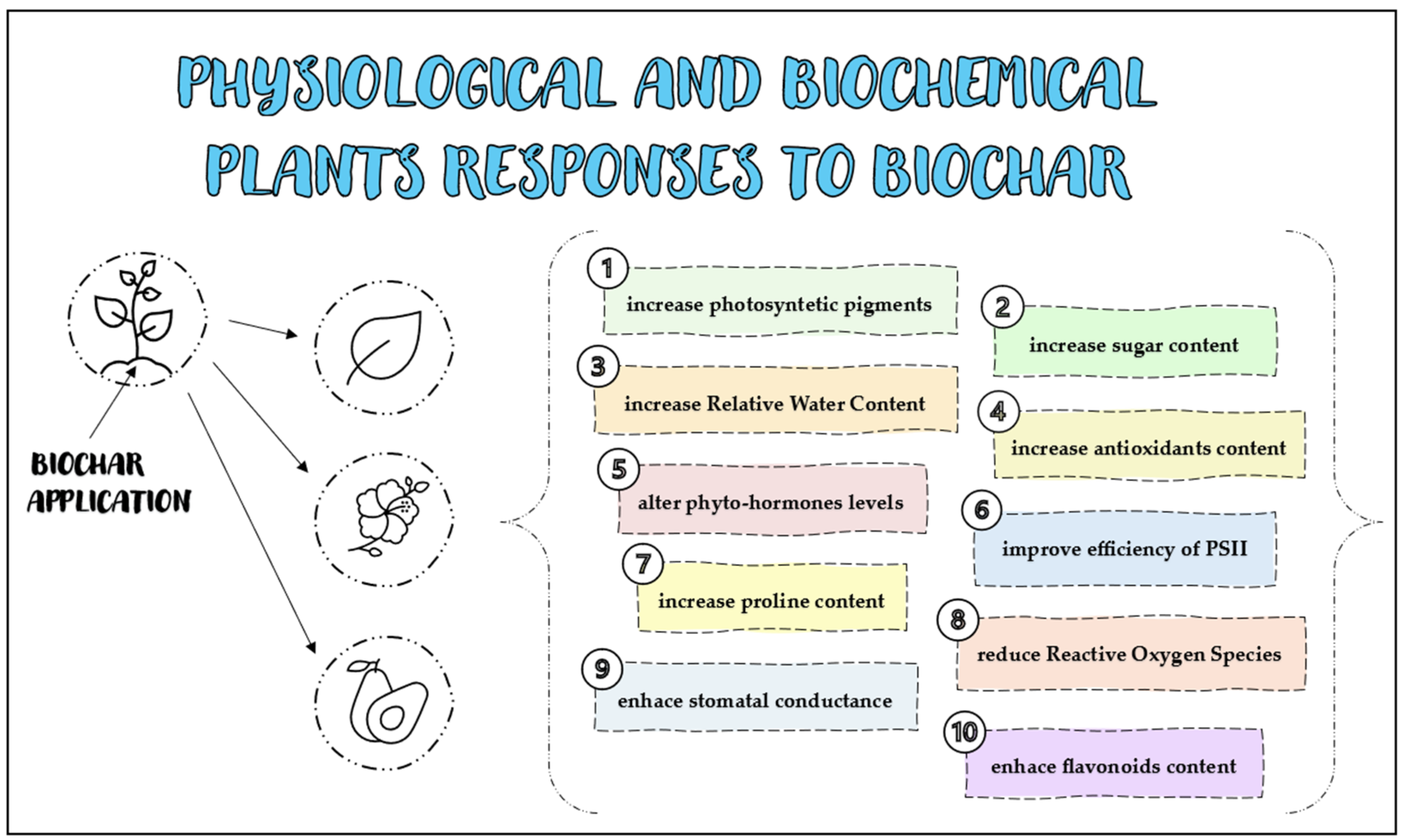 Agriculture 14 02165 g003 Agriculture 14 02165 g003