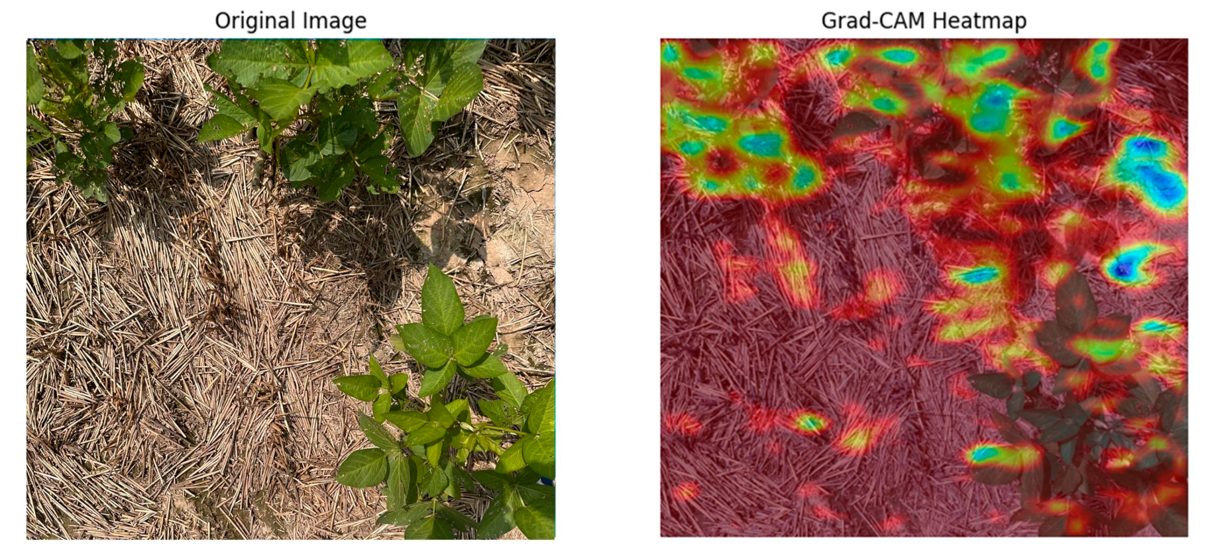 Agriculture 14 02240 g008