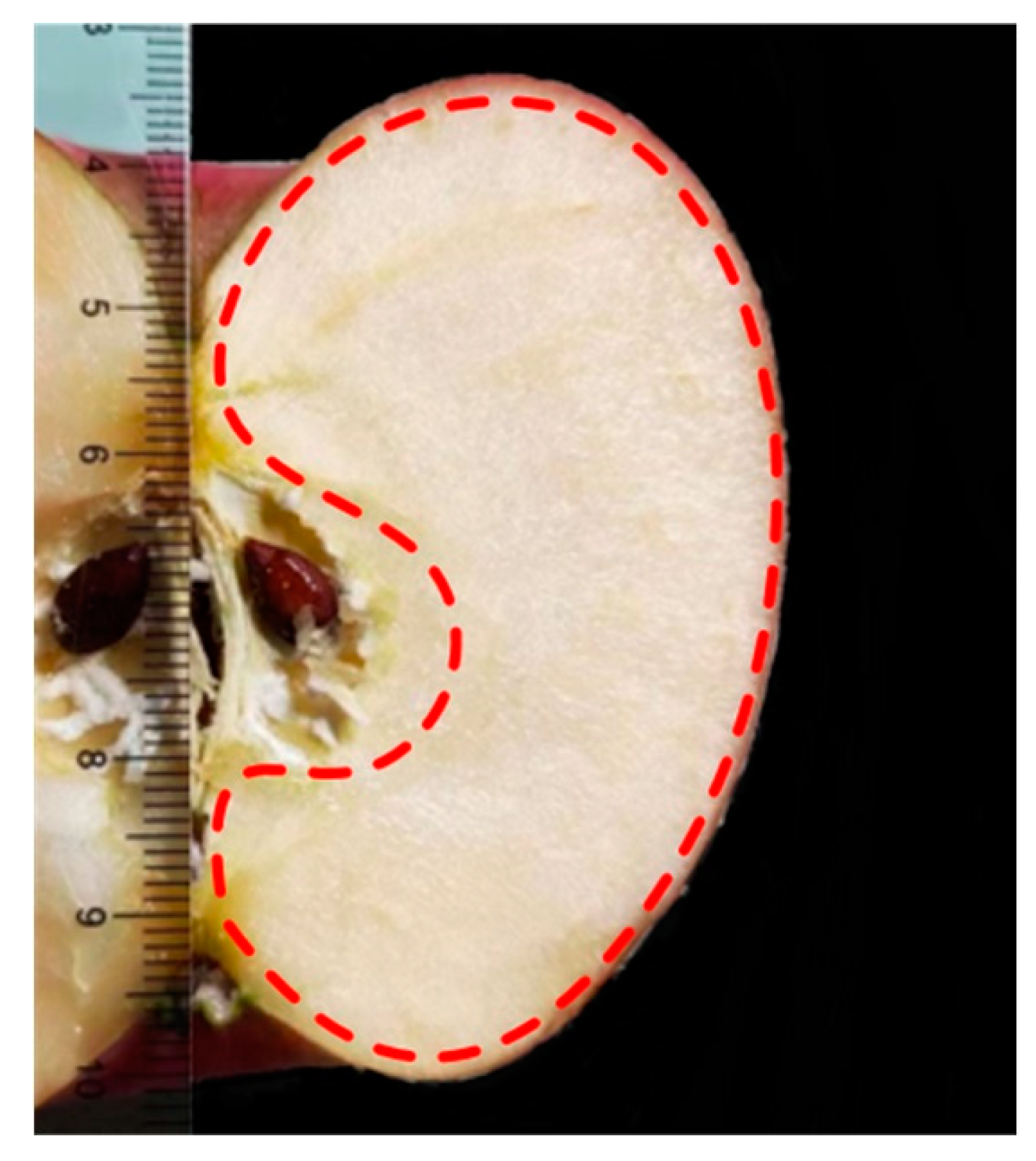 Agriculture 14 02280 g004
