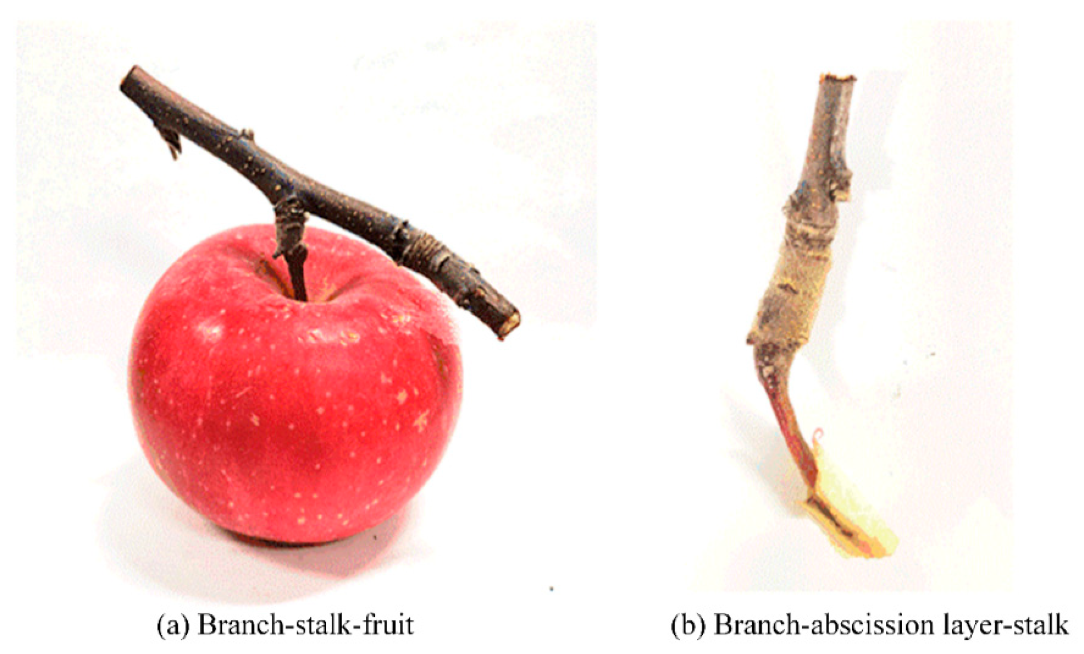 Agriculture 14 02280 g010