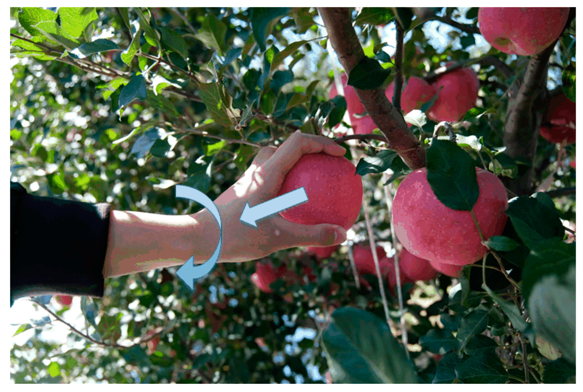 Agriculture 14 02280 g022