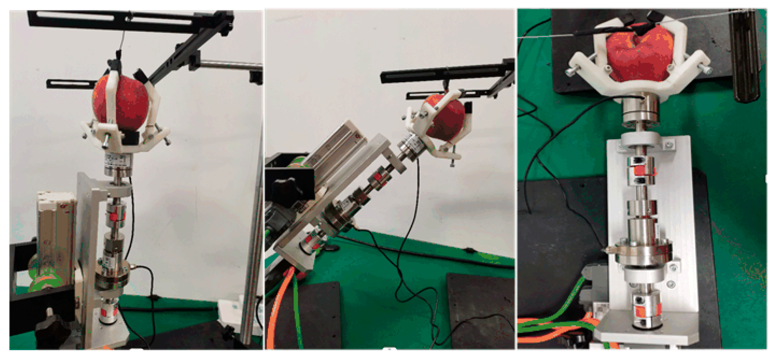 Agriculture 14 02280 g036