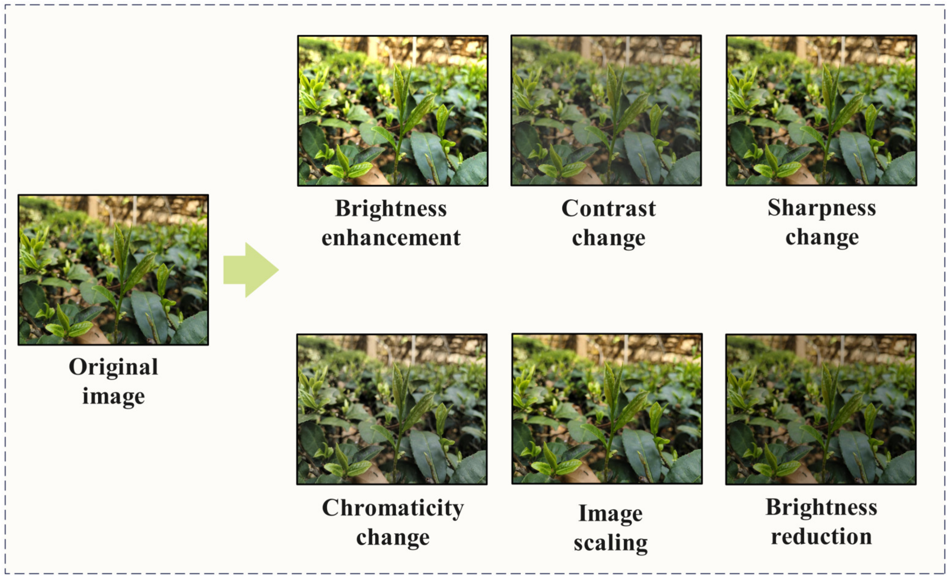 Agriculture 14 02324 g002