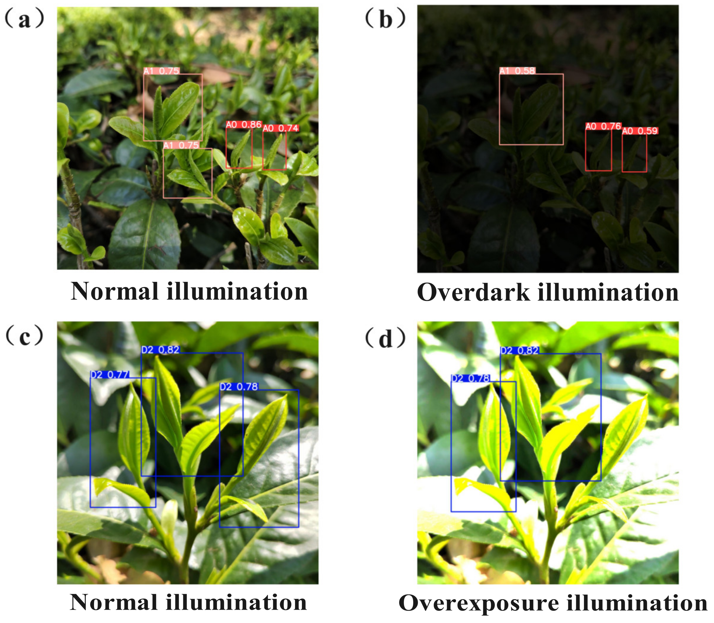 Agriculture 14 02324 g014
