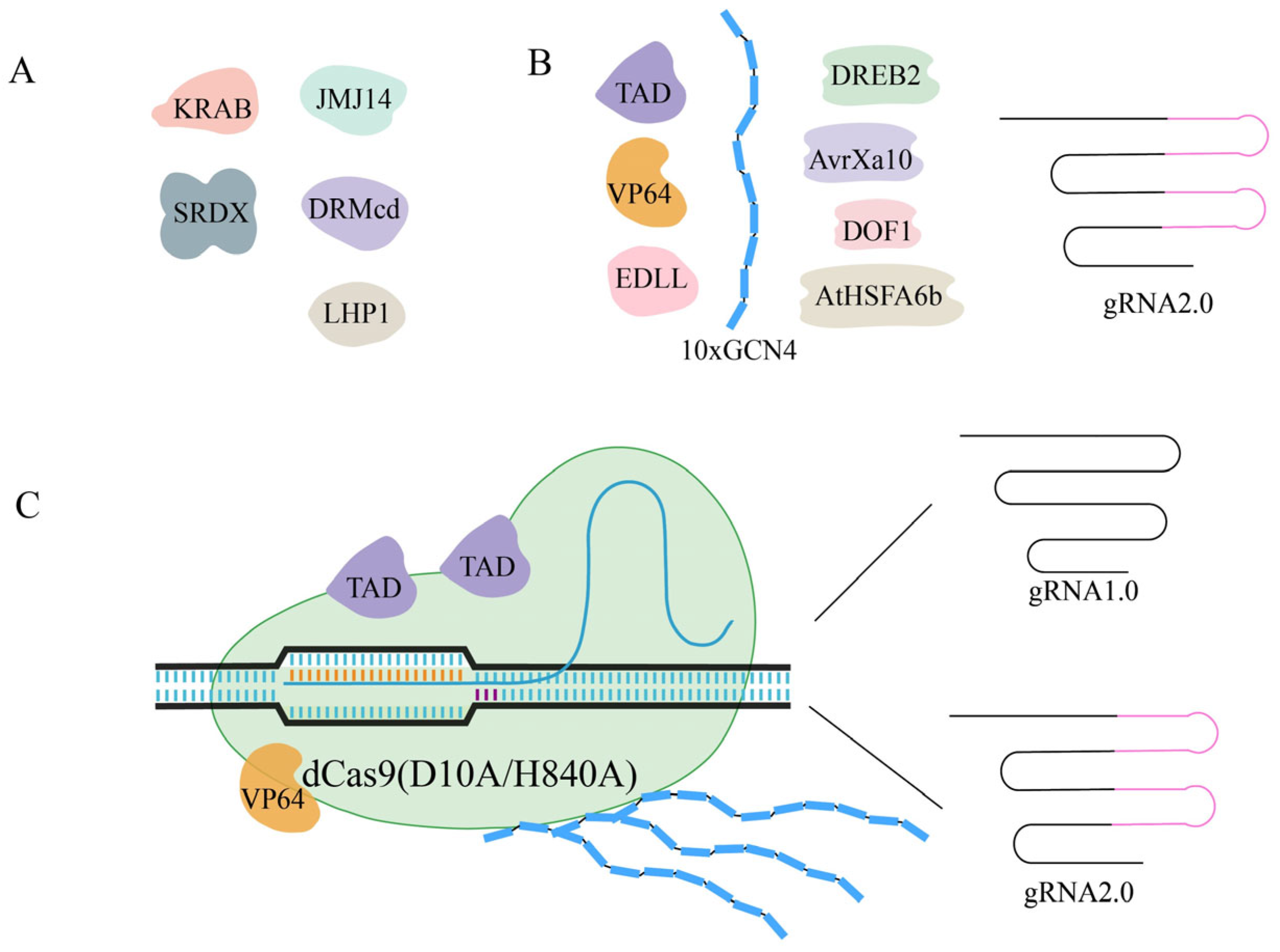 Agriculture 15 00029 g003