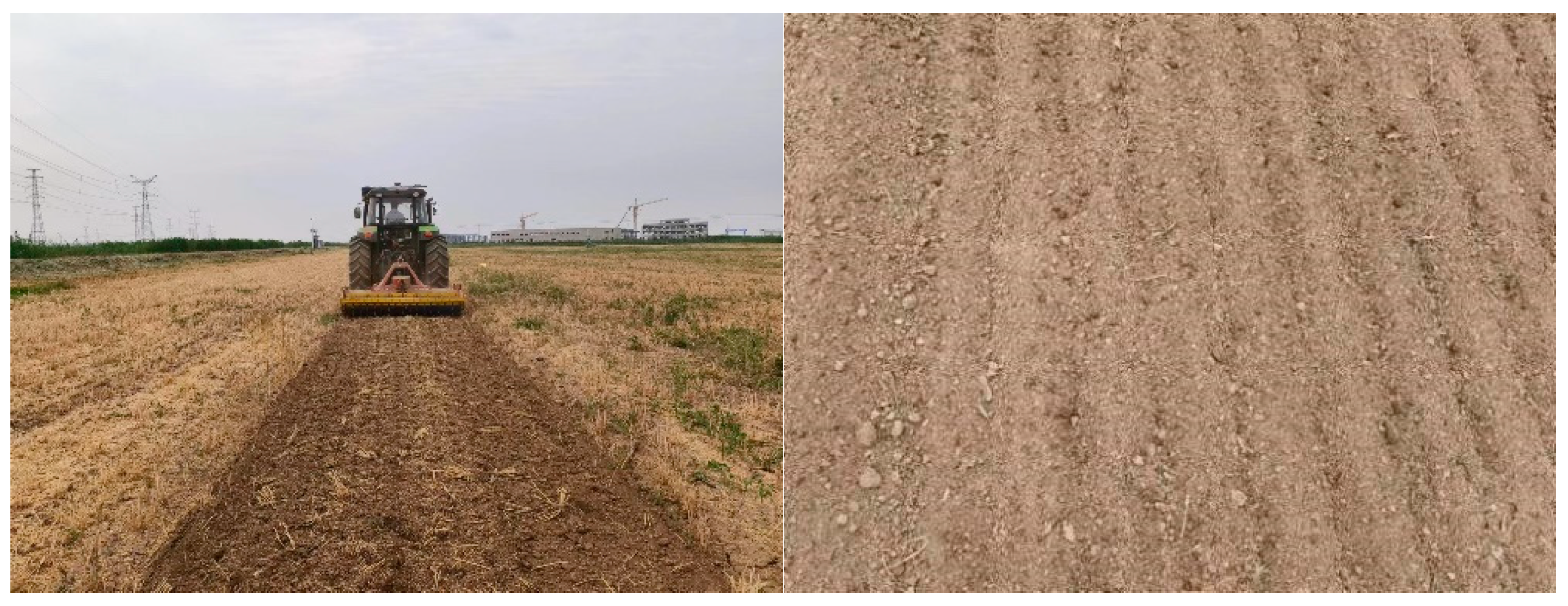 Agriculture 15 00206 g021