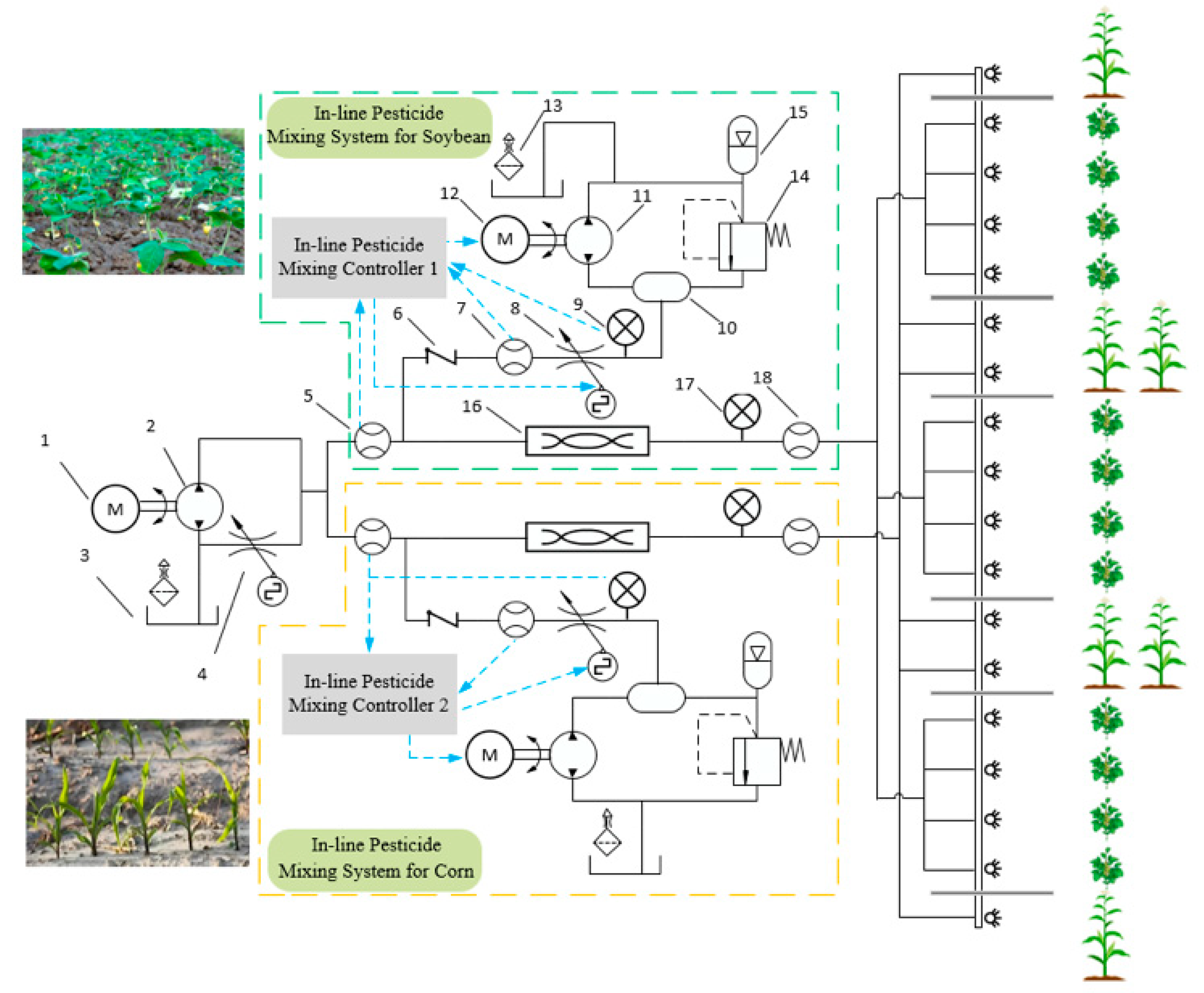 Agriculture 15 00247 g004