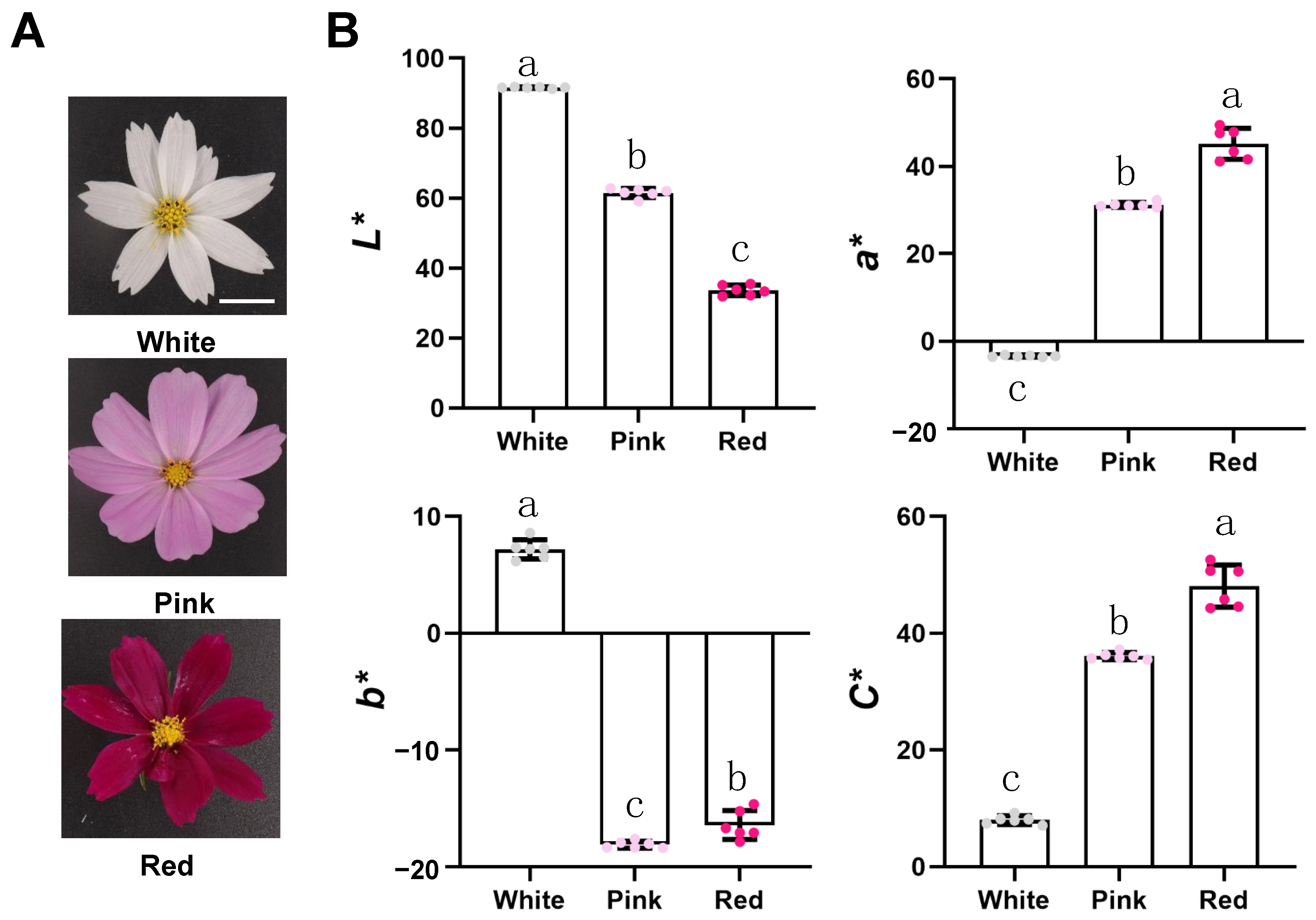 Agriculture 15 00255 g001
