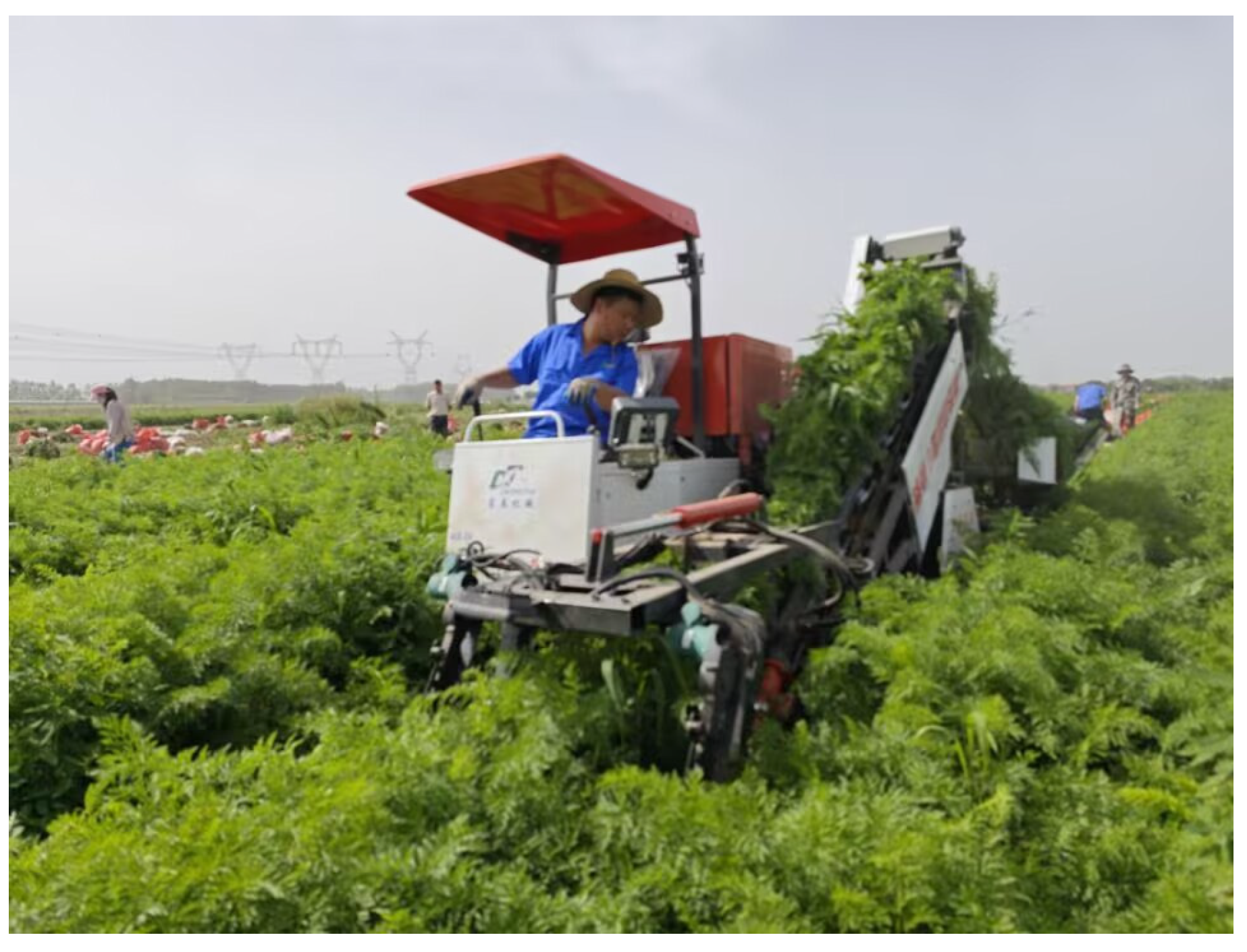 Agriculture 15 00275 g001