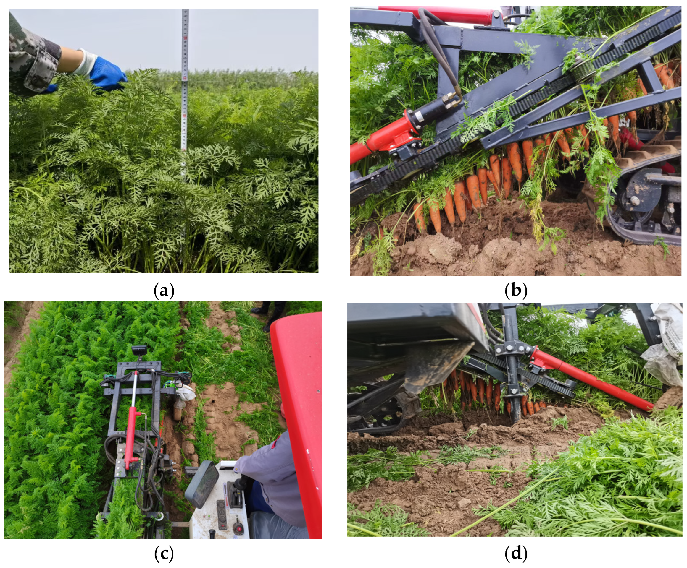 Agriculture 15 00275 g002a