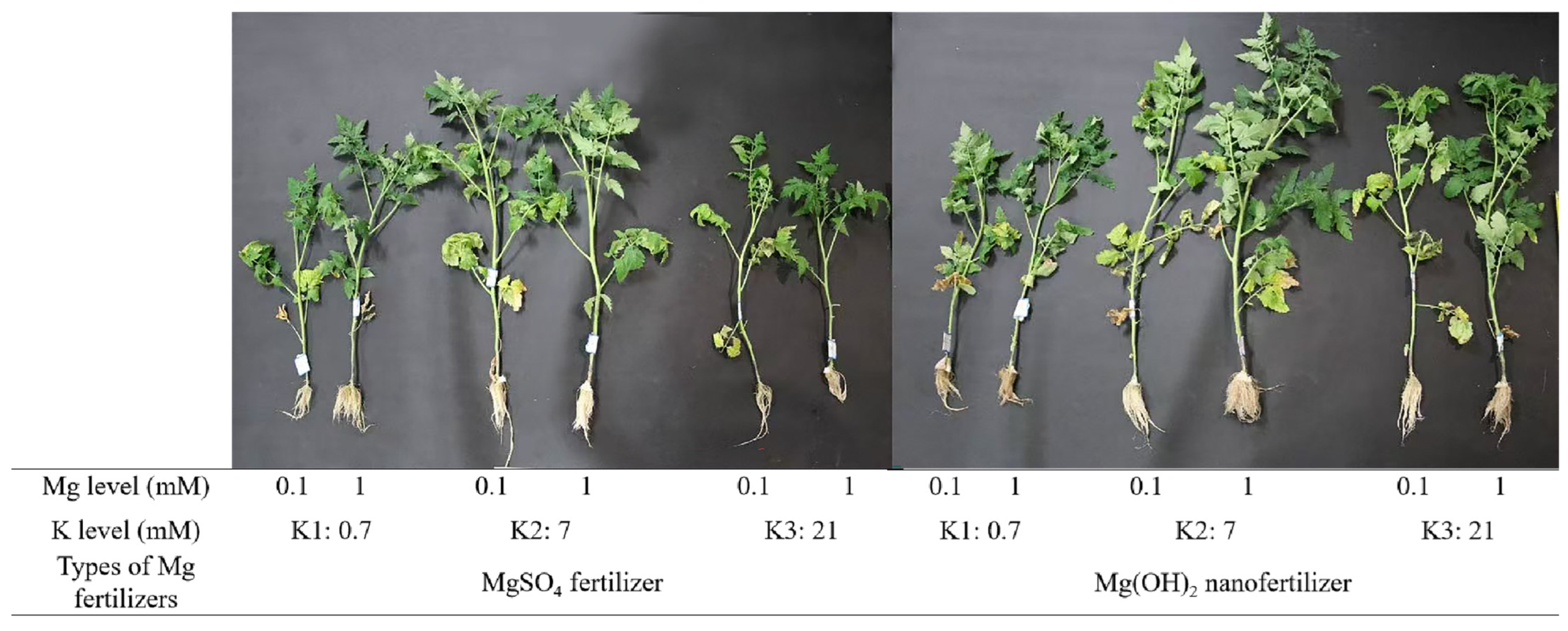 Agriculture 15 00368 g002 Agriculture 15 00368 g002