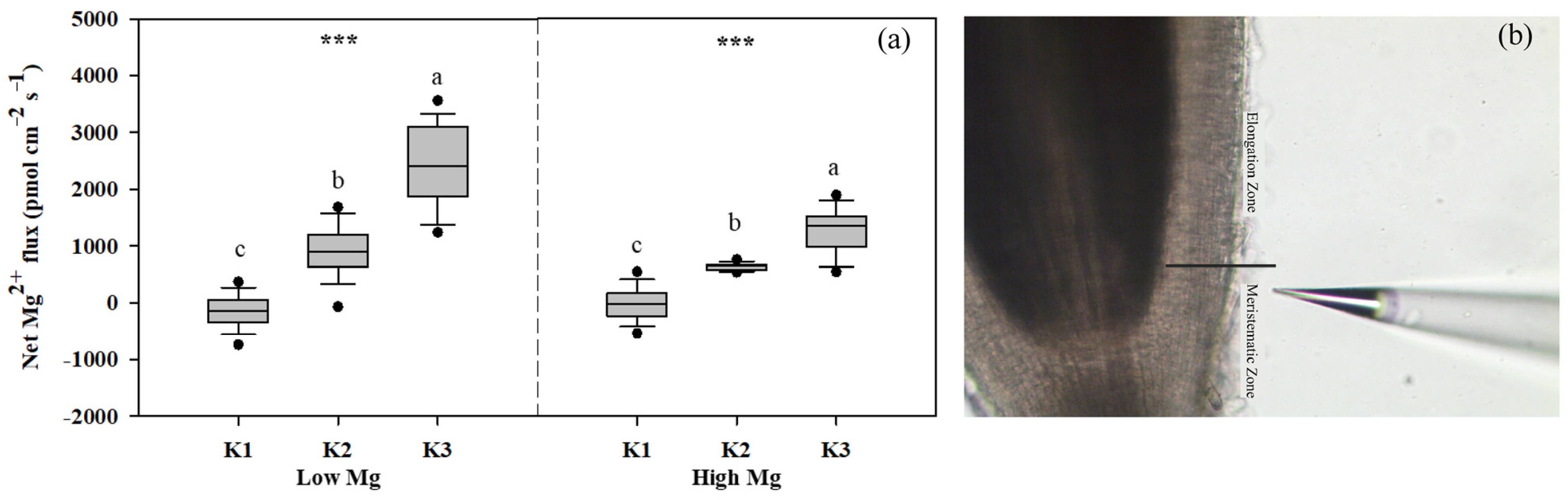 Agriculture 15 00368 g005 Agriculture 15 00368 g005