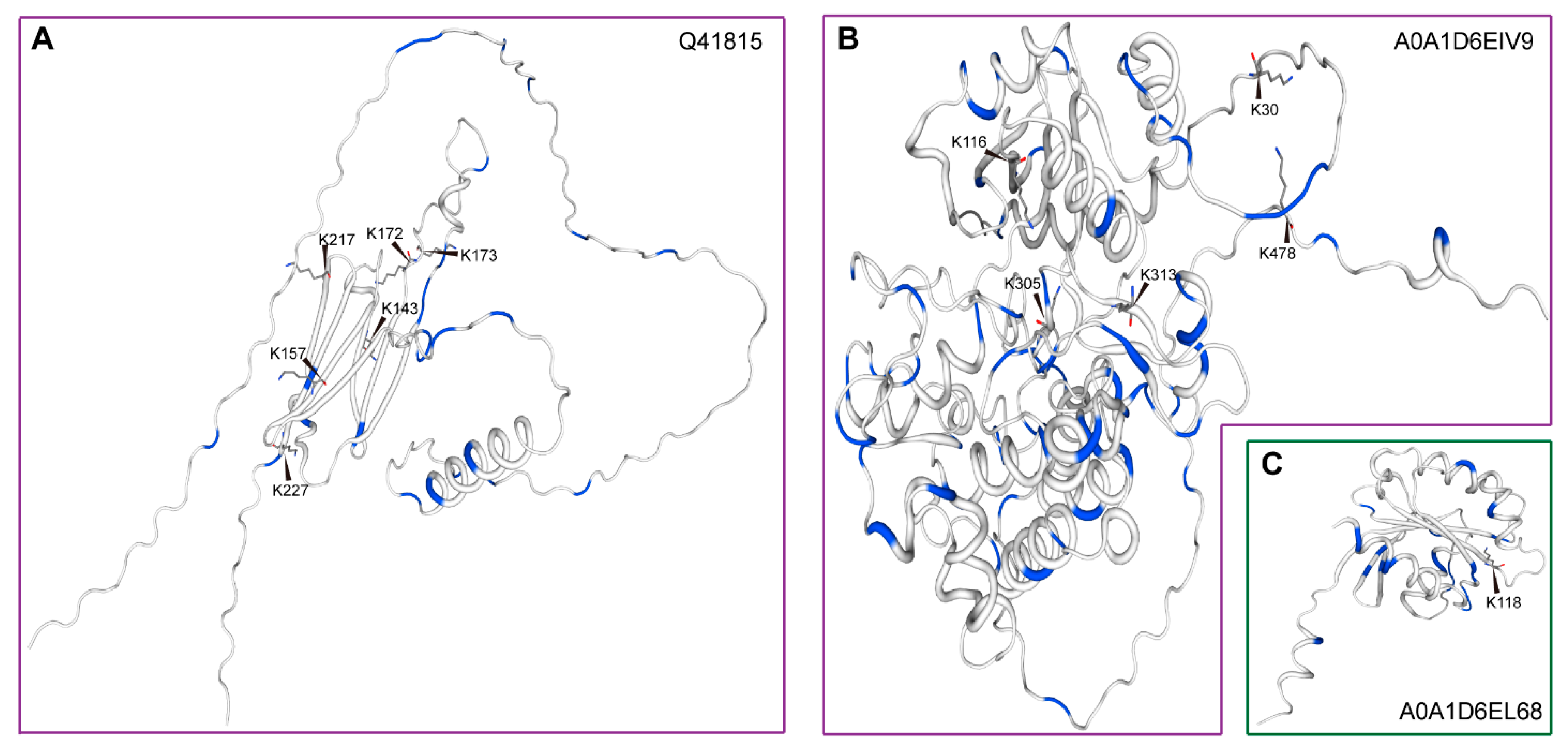 Agriculture 15 00389 g004