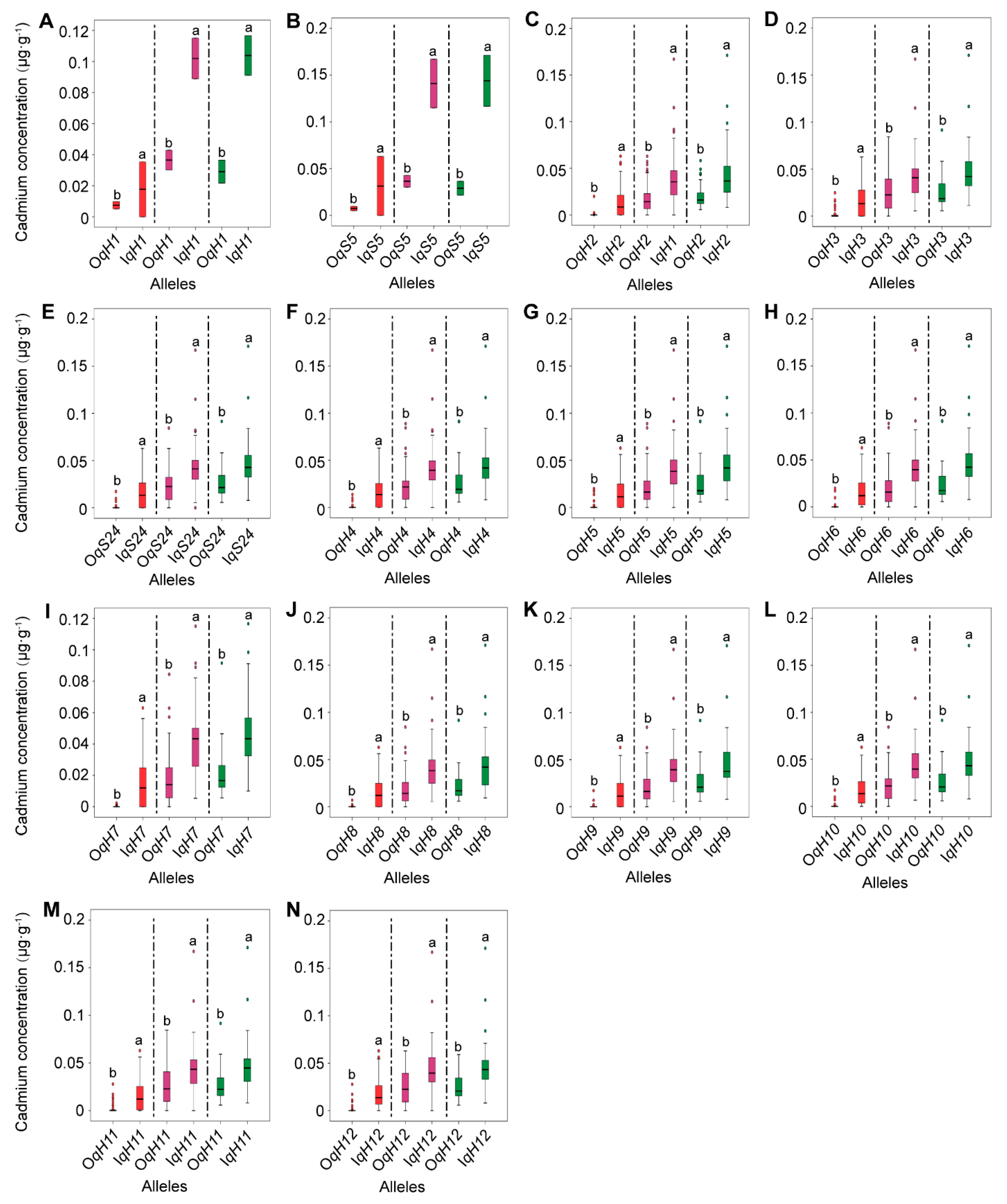 Agriculture 15 00389 g005