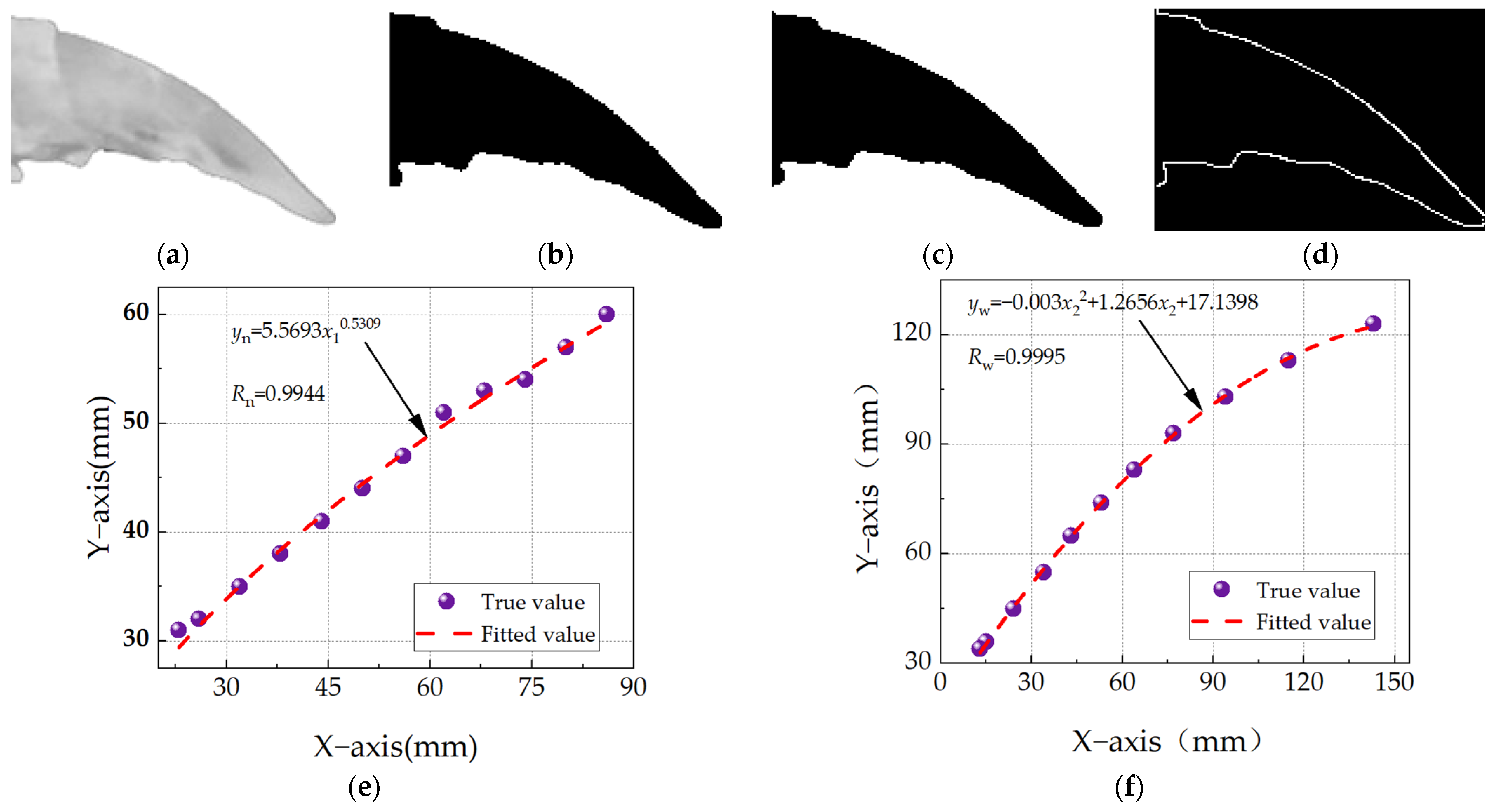 Agriculture 15 00487 g002