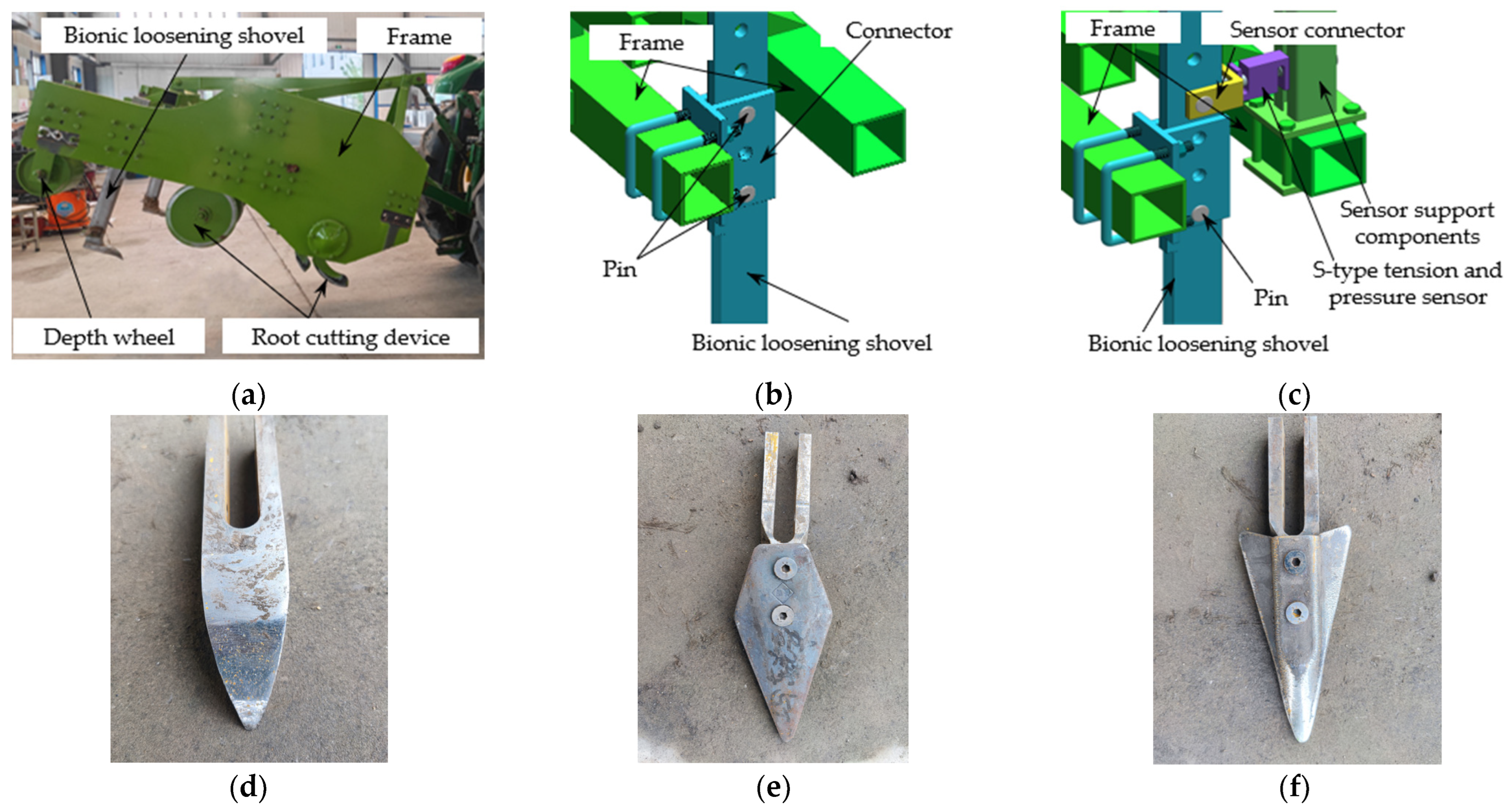 Agriculture 15 00487 g006